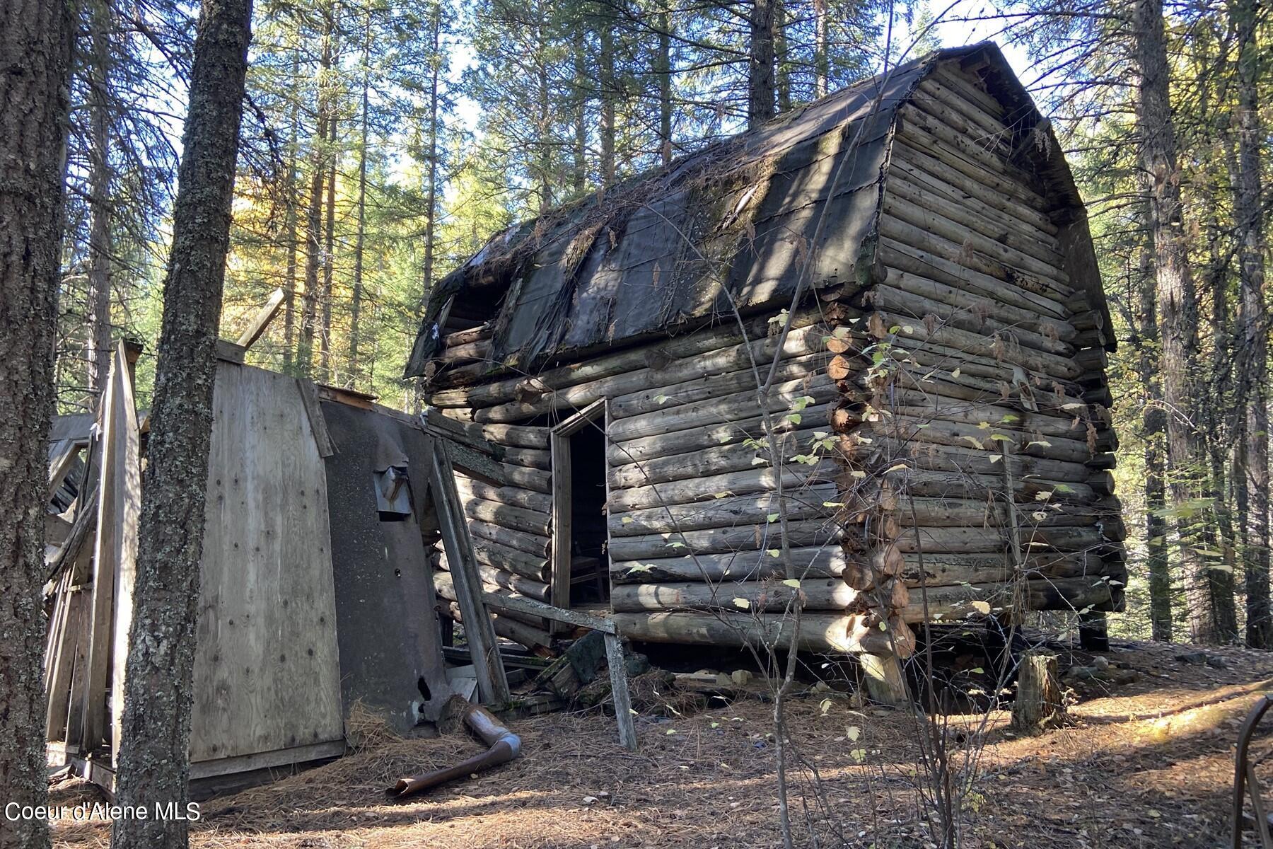Weathered log cabin with a damaged roof and open doorway among trees.