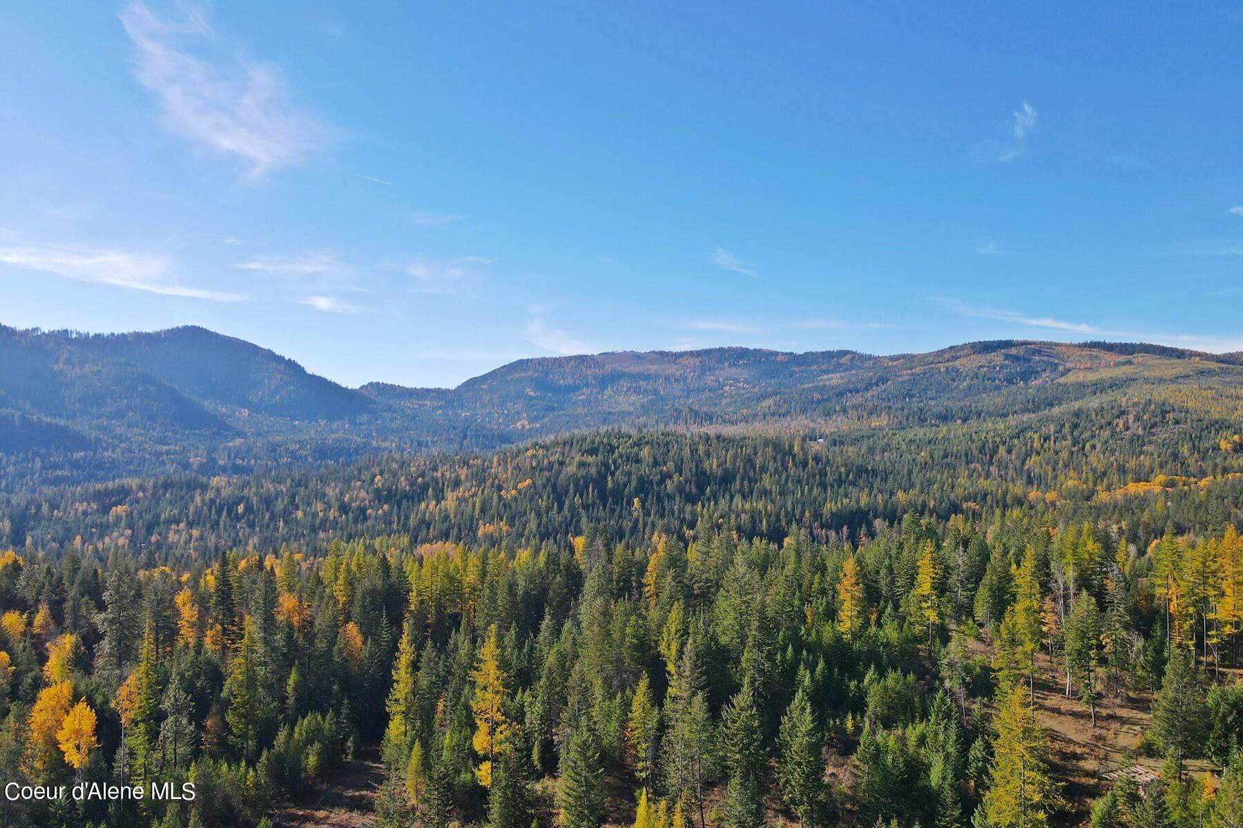 Aerial view of autumn-colored forest across rolling hills beneath a clear blue sky.