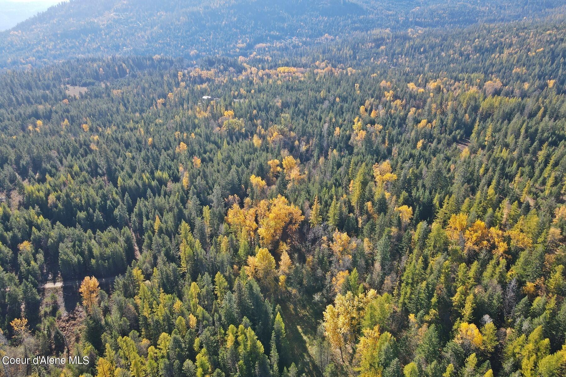 Aerial view of autumn-colored forest across the property, with wooded mountain slopes beyond.