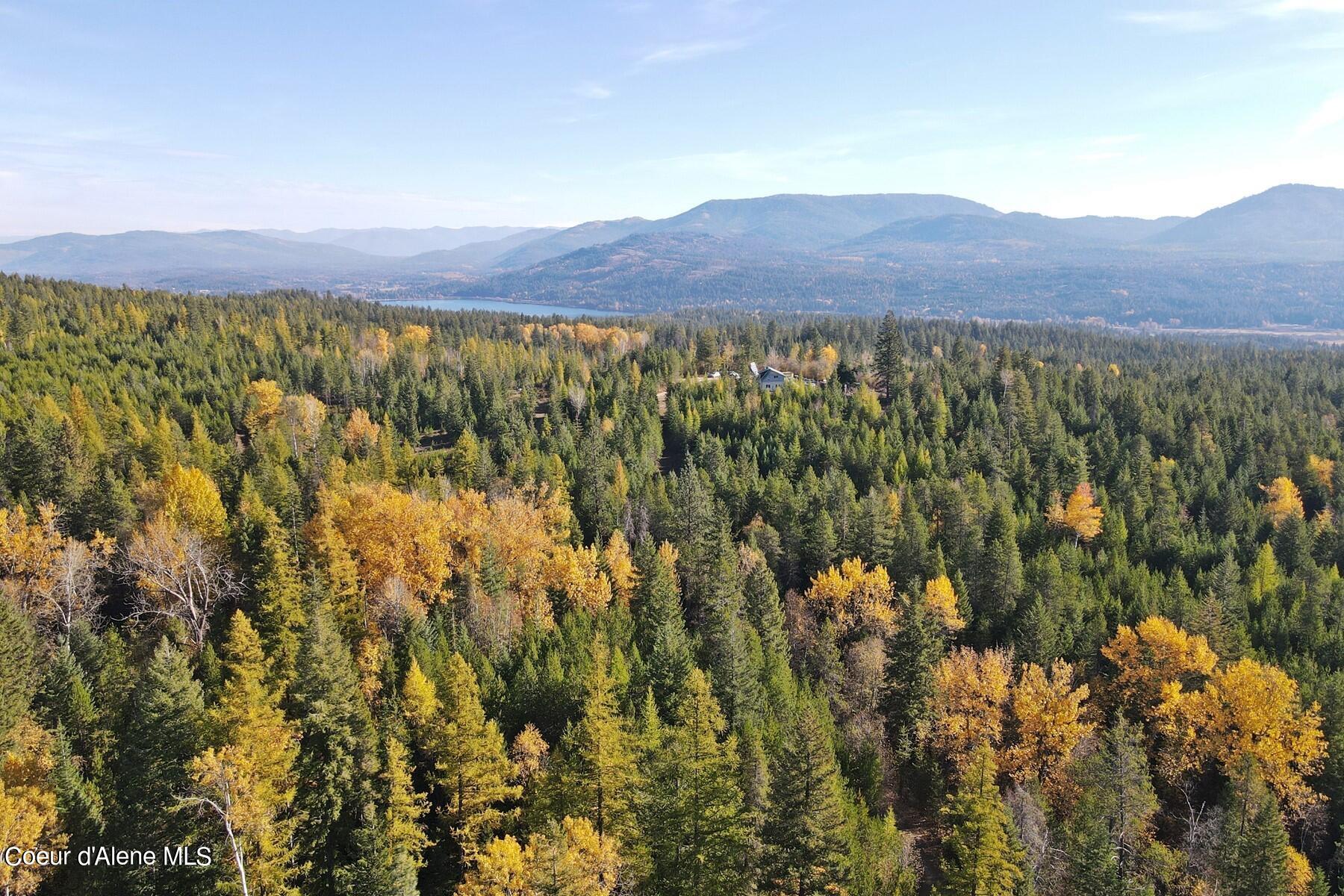 Aerial view of autumn forest, with a small house, distant lake, and mountain ranges.