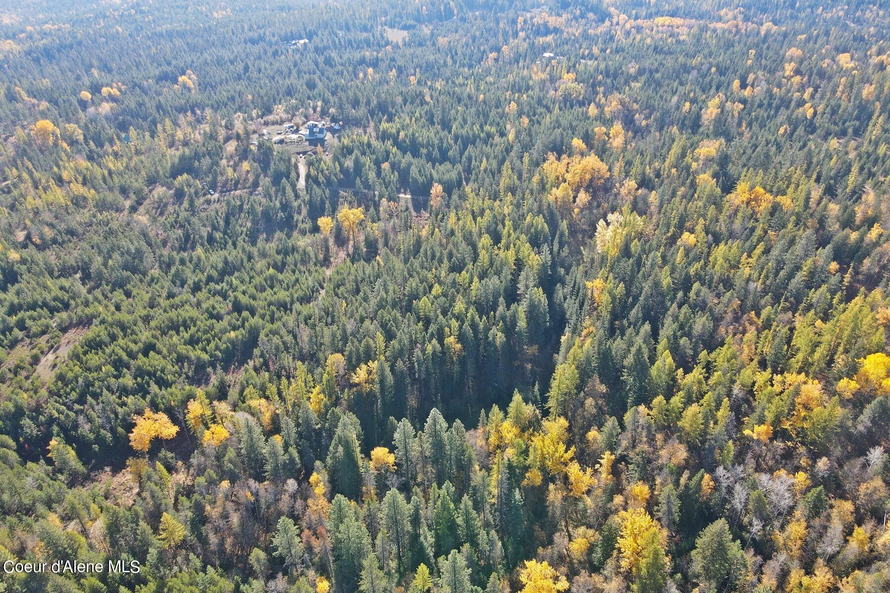 Aerial view of forested land with autumn foliage, a small building cluster, and an access road.