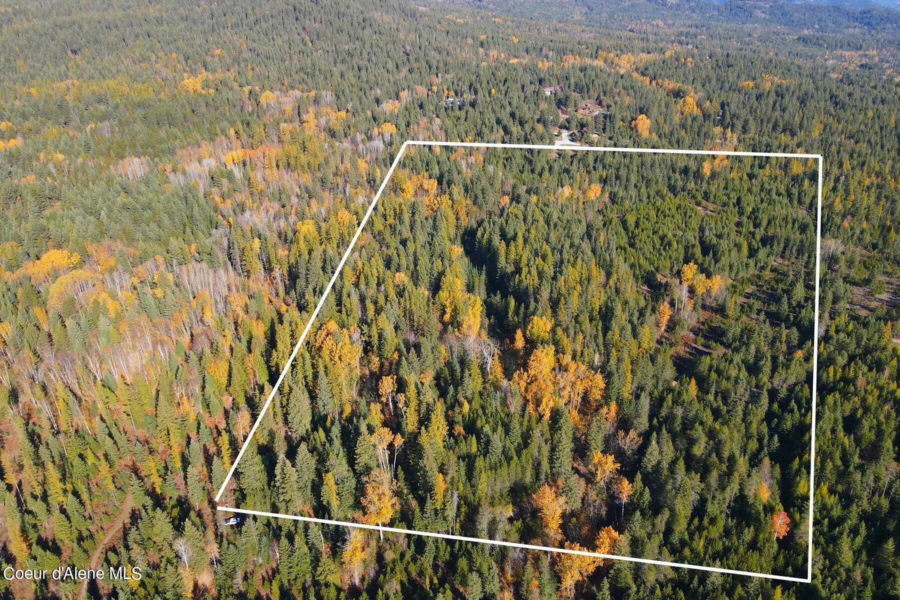 Aerial view of a forested parcel outlined in white, with evergreen and golden autumn trees.
