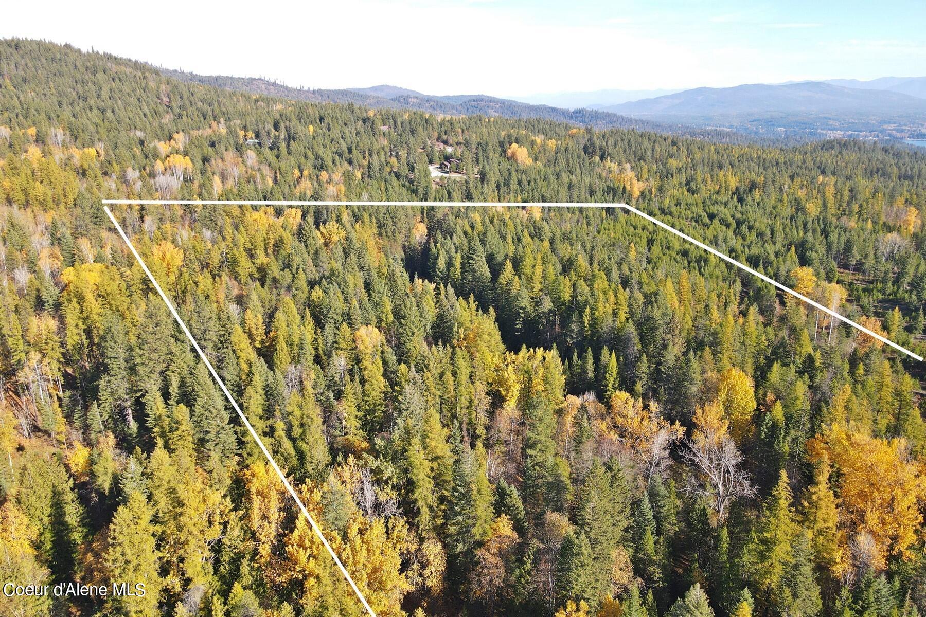 Aerial view of a forested property outlined in white, with autumn foliage and distant mountains.