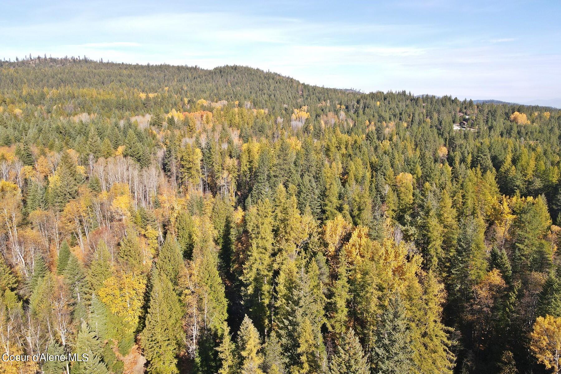 Aerial view of forested land with autumn foliage and a distant building.