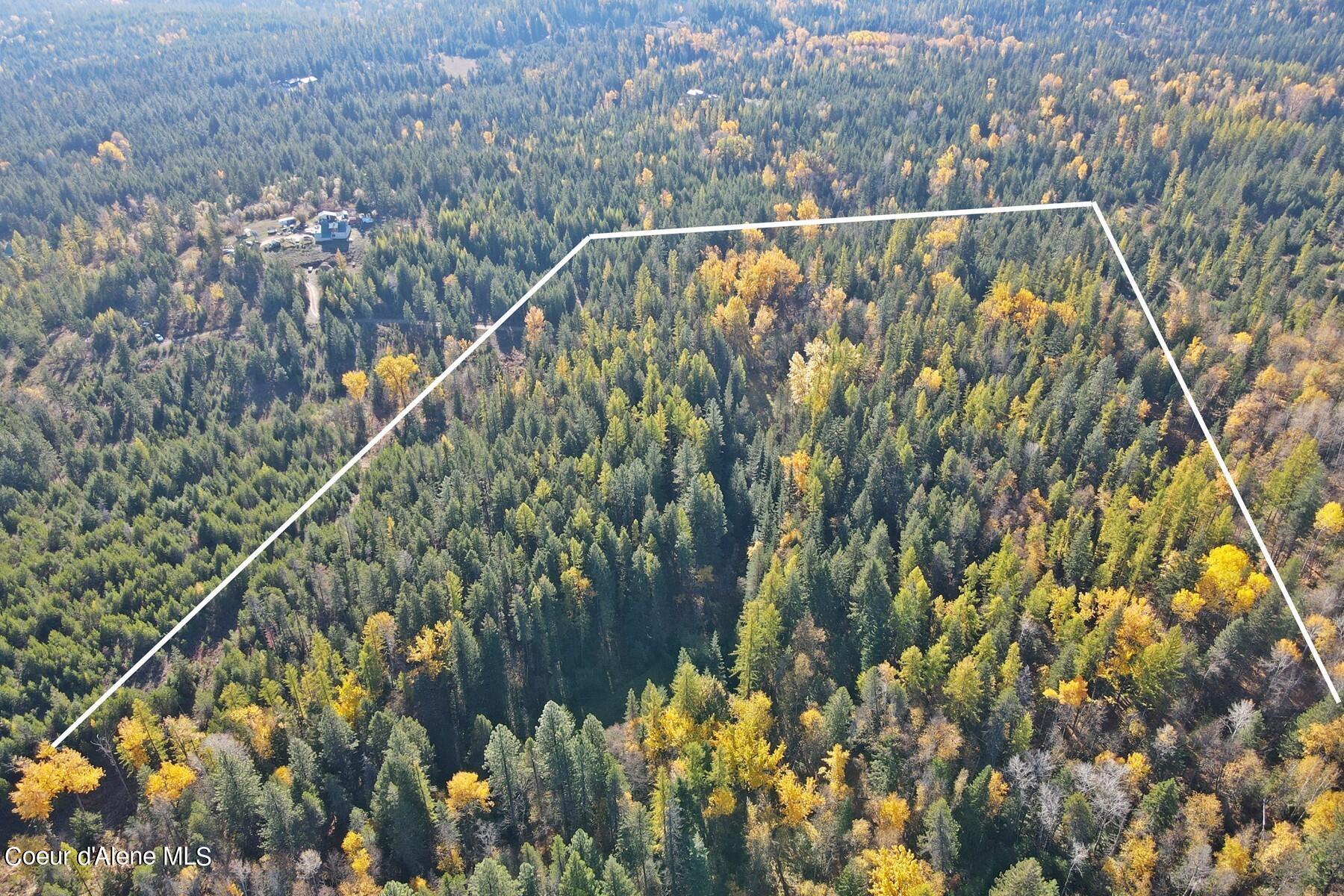 Aerial view of a wooded parcel outlined in white amid autumn forest.