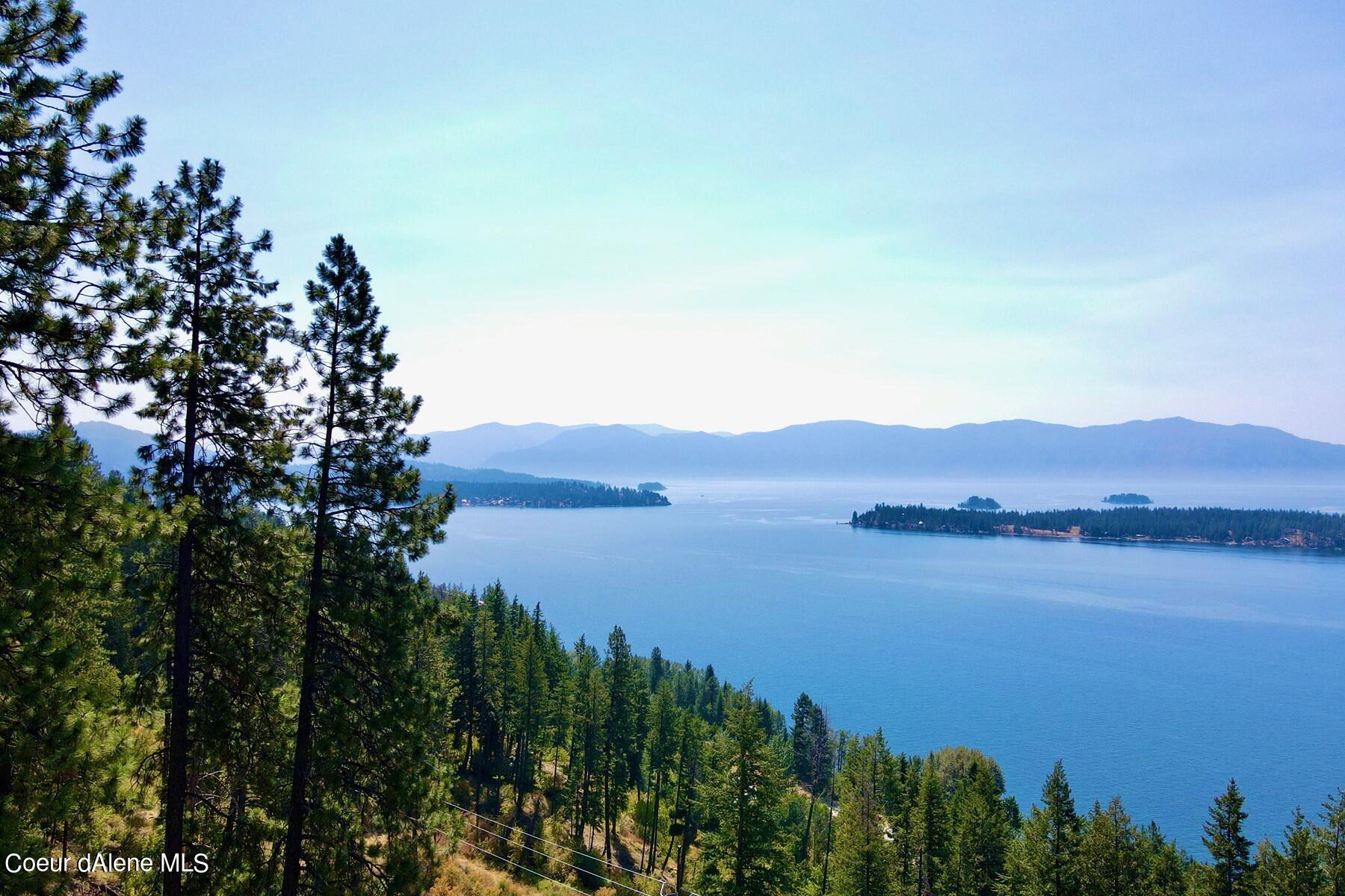 Lake and mountain panorama framed by pine trees on a wooded hillside.