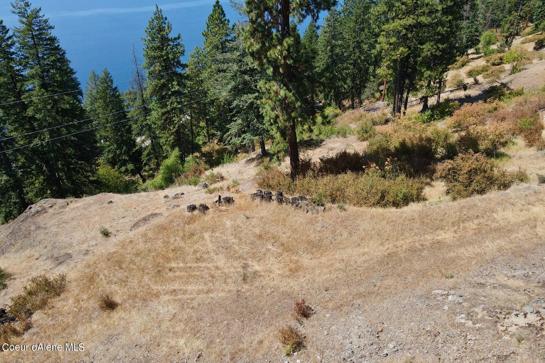 Sloping wooded land with dry grass and pines overlooking a blue lake.