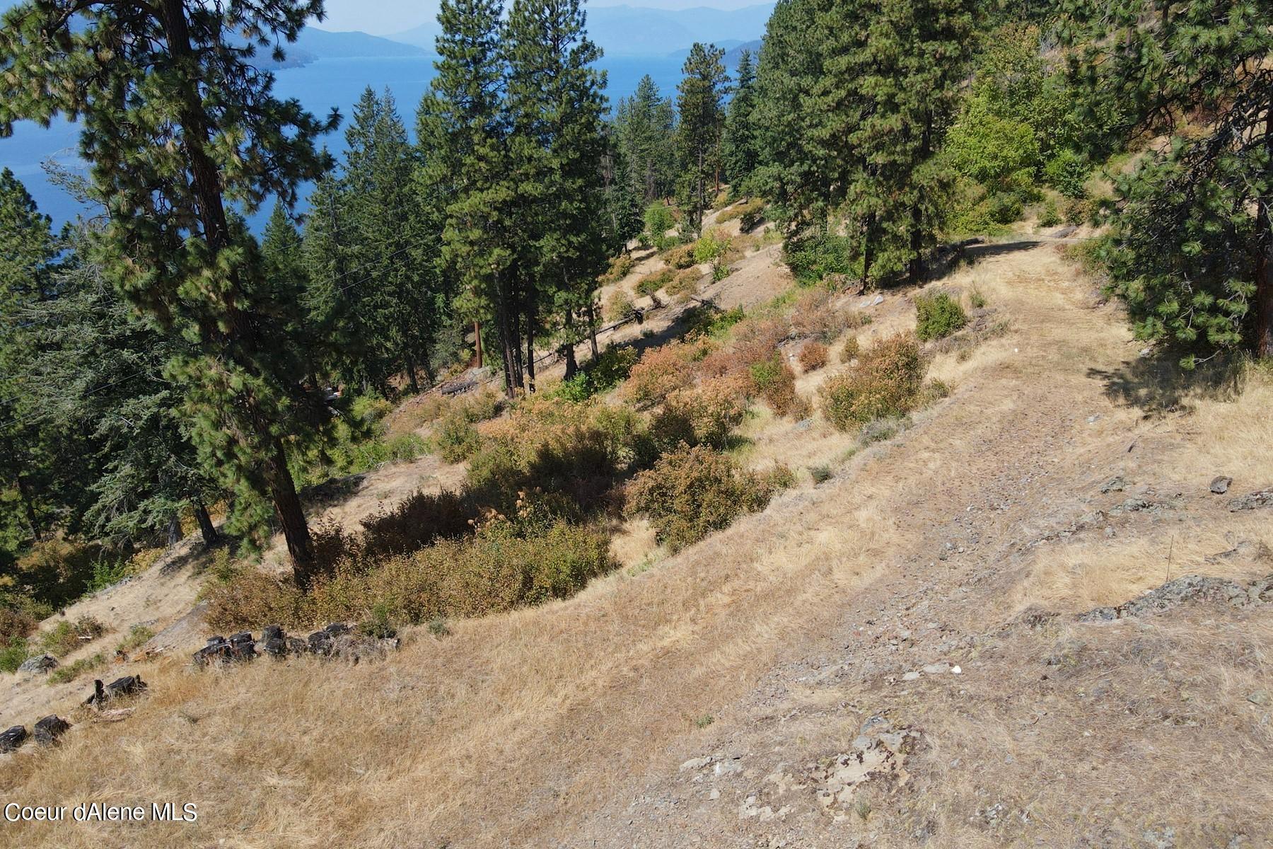 Vacant hillside parcel with a rocky track, pine trees, and views of a blue lake and distant mountains.