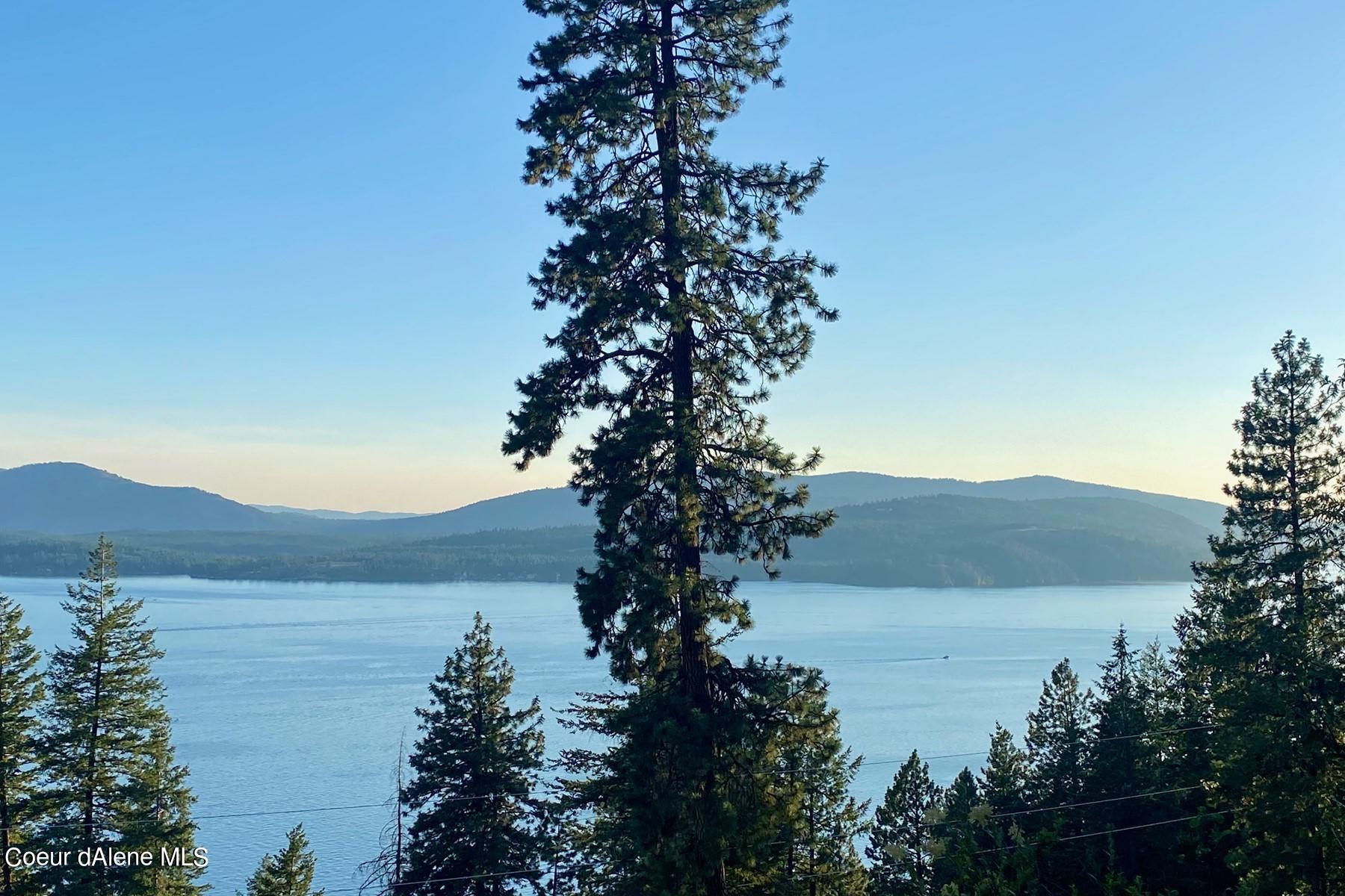 Lake and mountain view framed by tall pine trees, with a boat crossing the water.