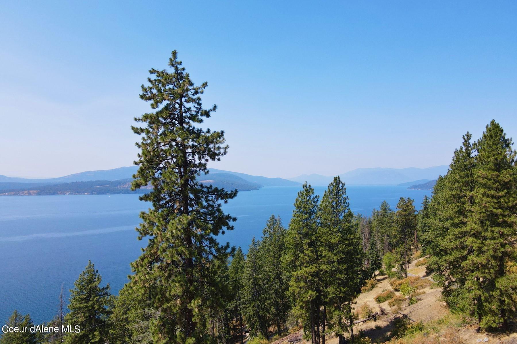 Lake and distant mountain ridges viewed across a pine-covered hillside.