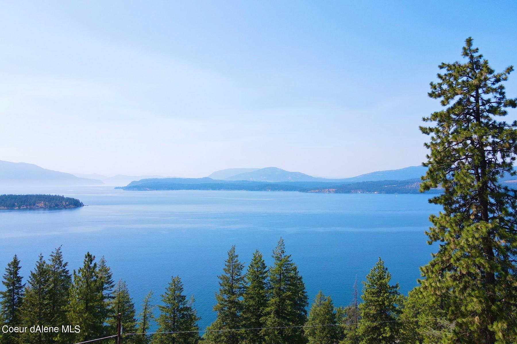 Lake view across blue water toward forested hills, framed by pine trees.