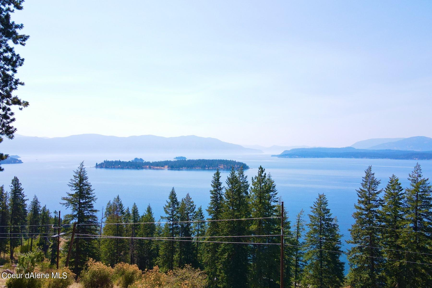 Lake Coeur d'Alene and a tree-covered island viewed from a pine-covered hillside.