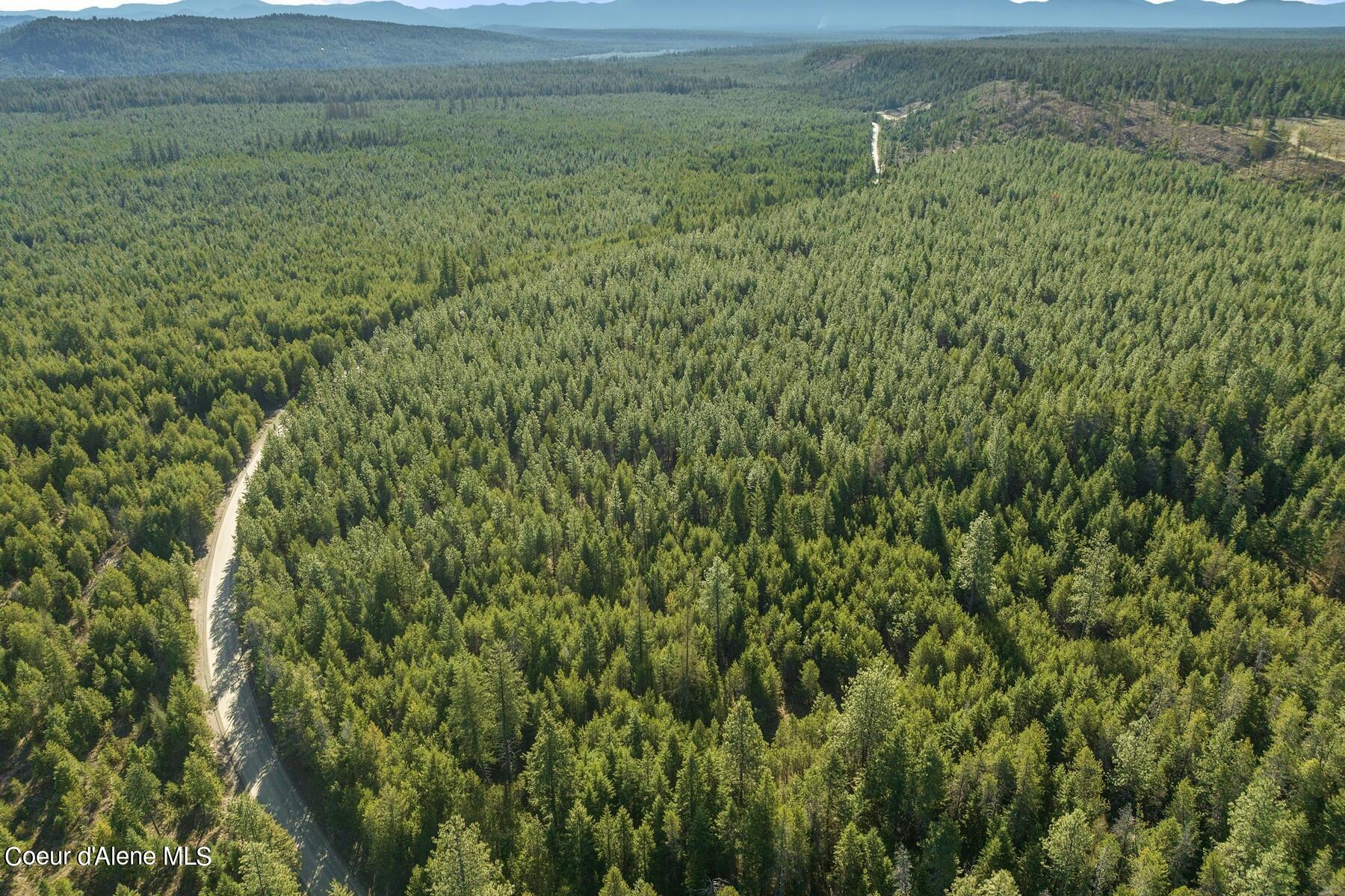 Aerial view of forested land with winding gravel roads and distant mountain ridges.