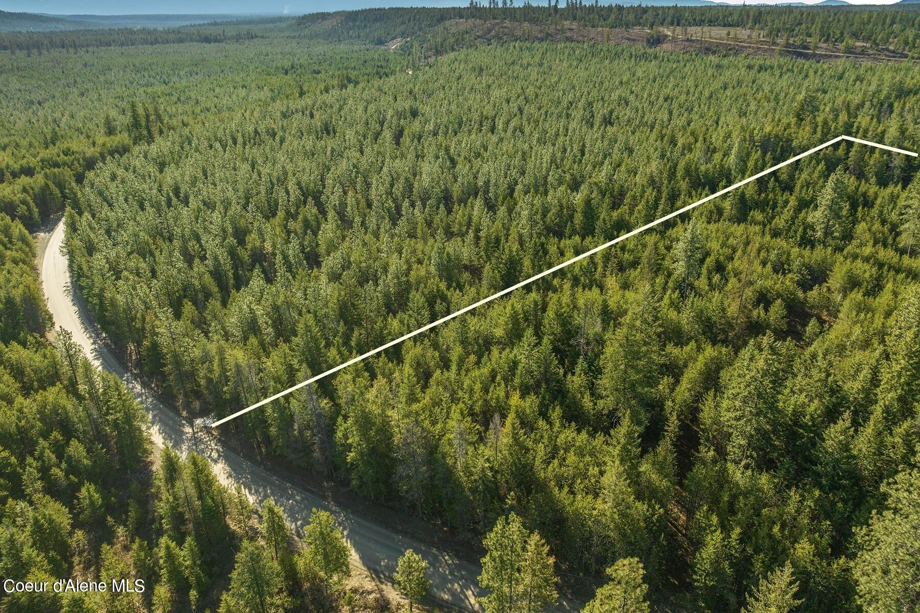 Aerial view of a forested parcel outlined by a boundary line, with a dirt road along its edge.