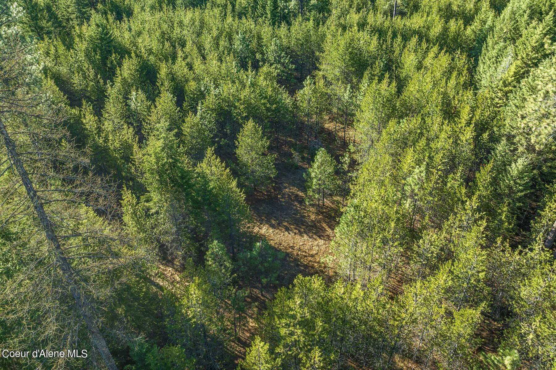 Aerial view of a densely wooded parcel with a small clearing.