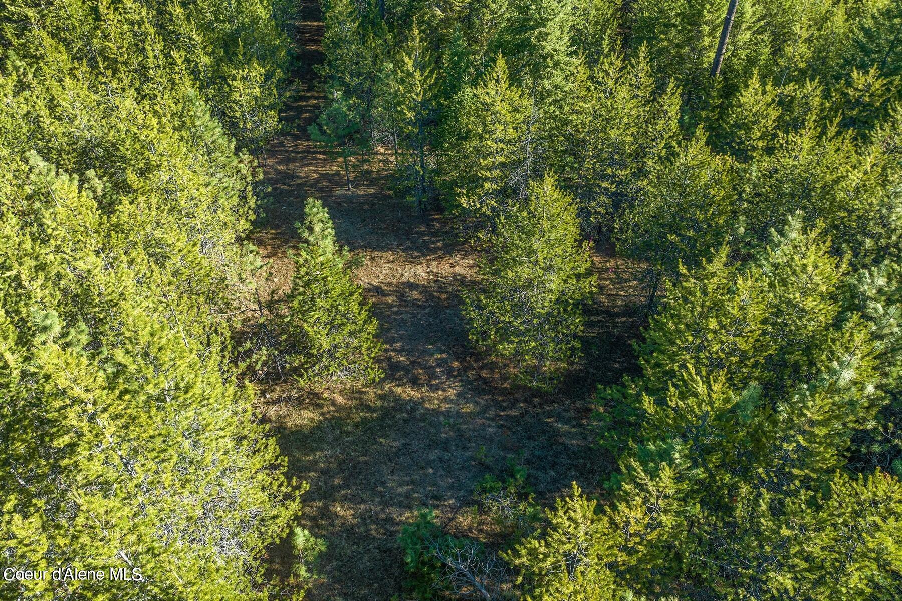Aerial view of a wooded parcel with a long clearing through dense pine trees.