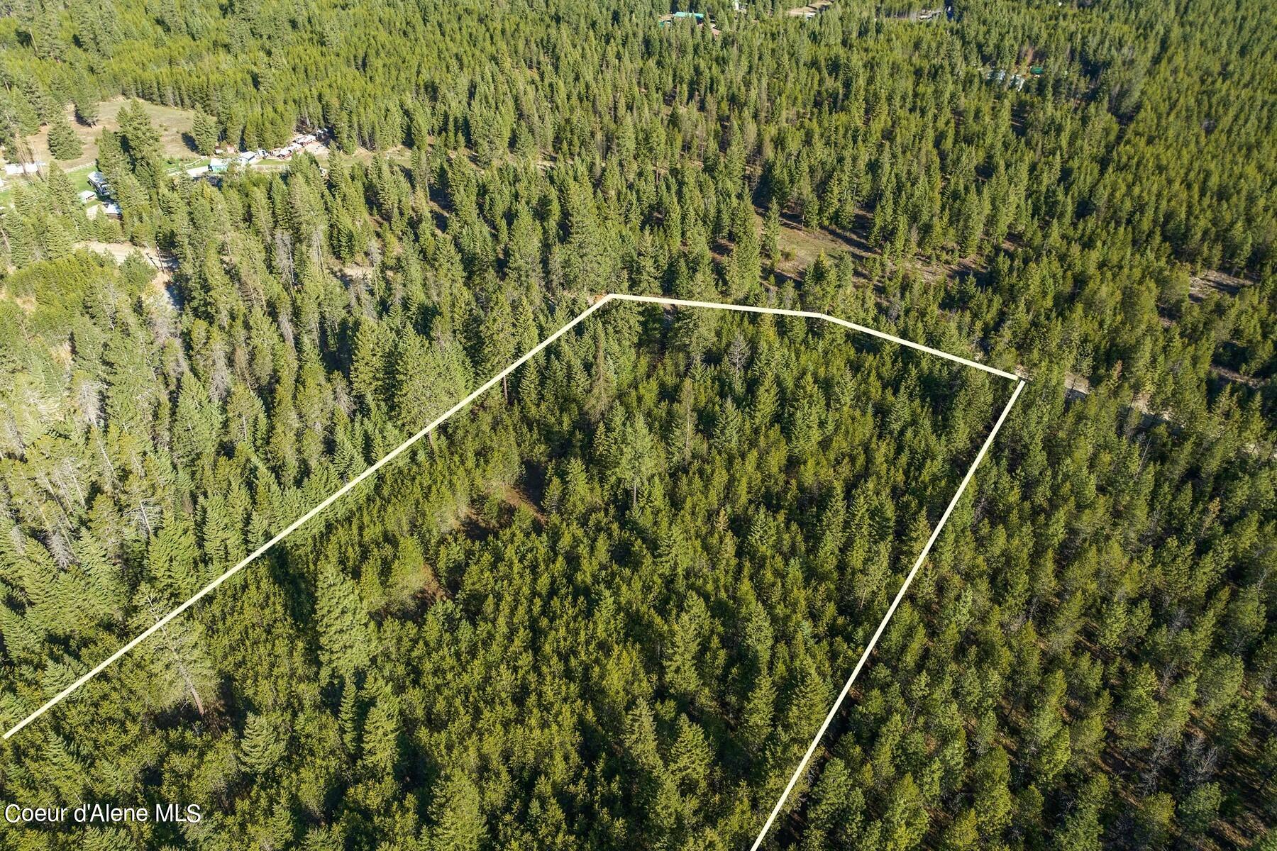 Aerial view of a forested parcel outlined in white, with nearby rural properties.