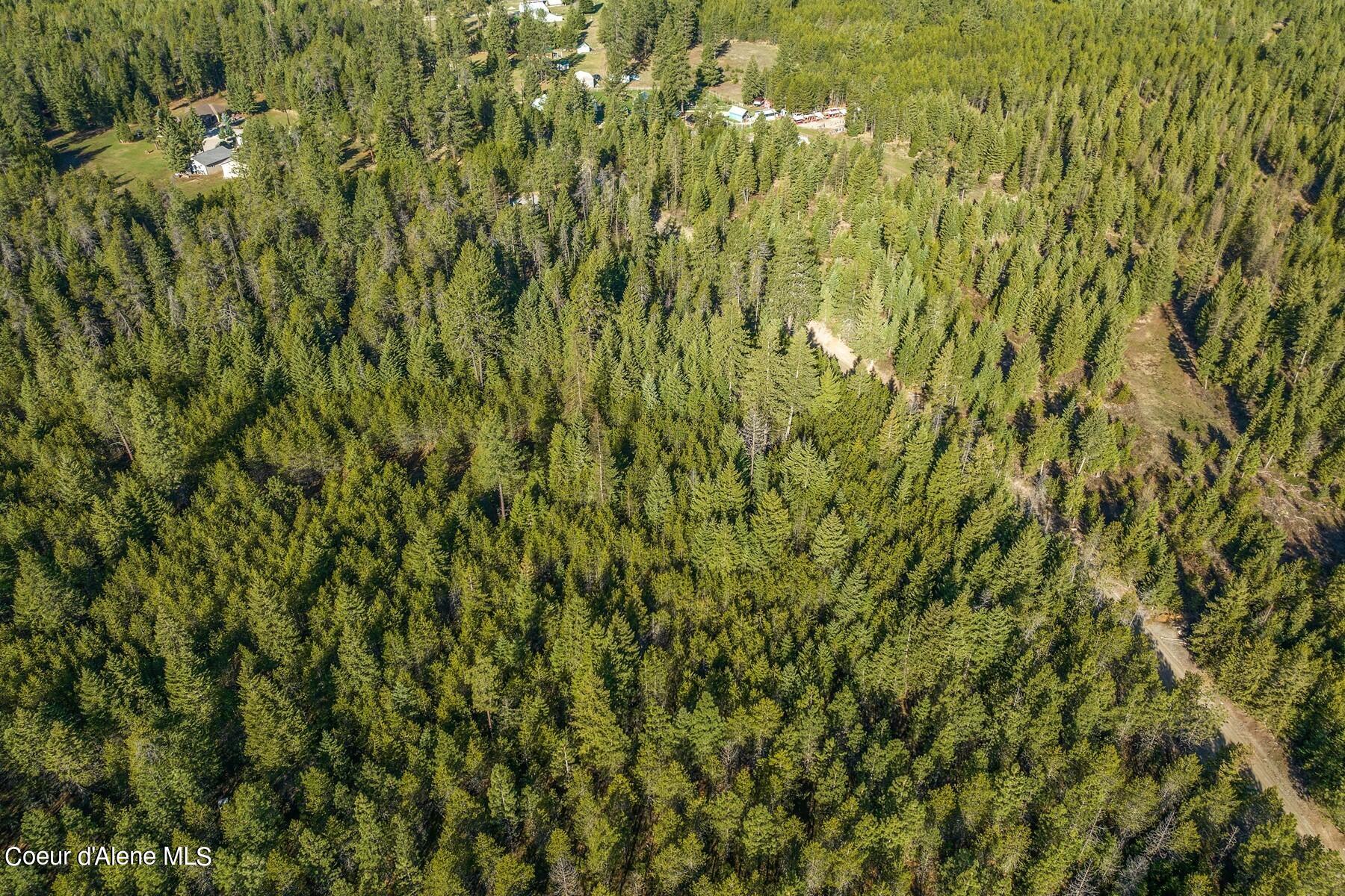 Aerial view of dense forest with a dirt road and clearings near scattered buildings.