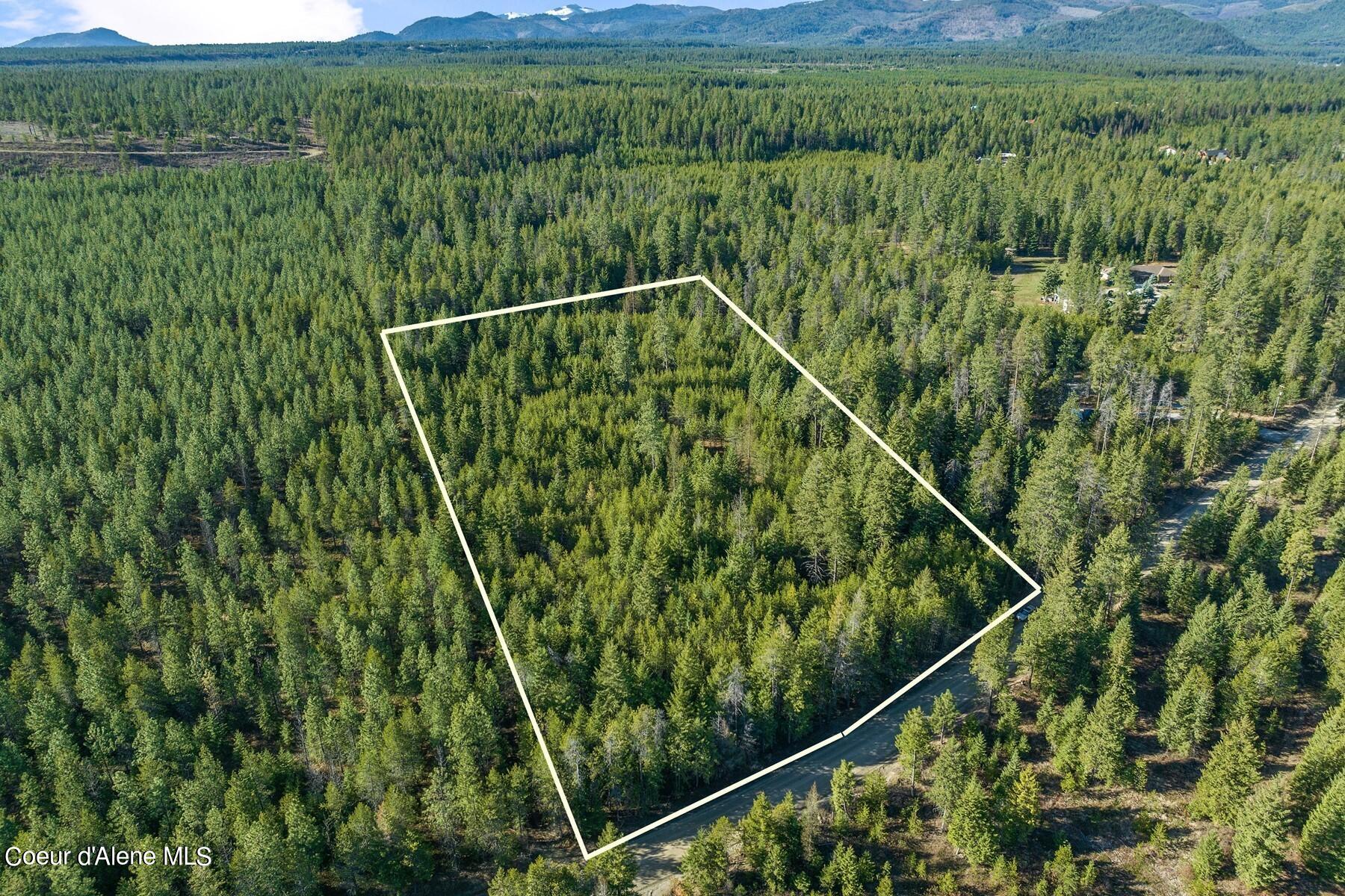 Aerial view of a forested parcel outlined beside a rural road, with distant mountains beyond.