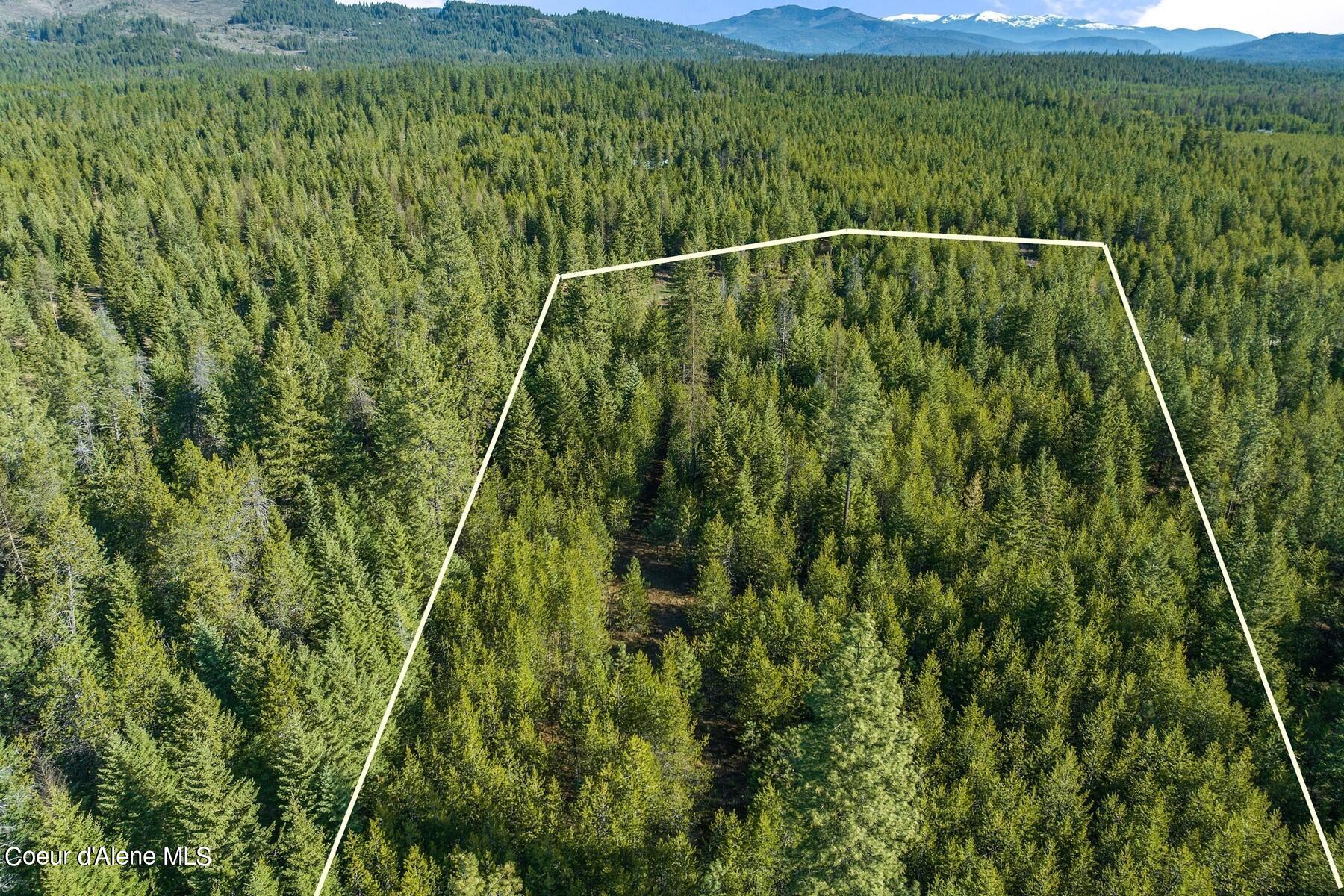 Aerial view of a forested parcel outlined in white, with mountains in the distance.