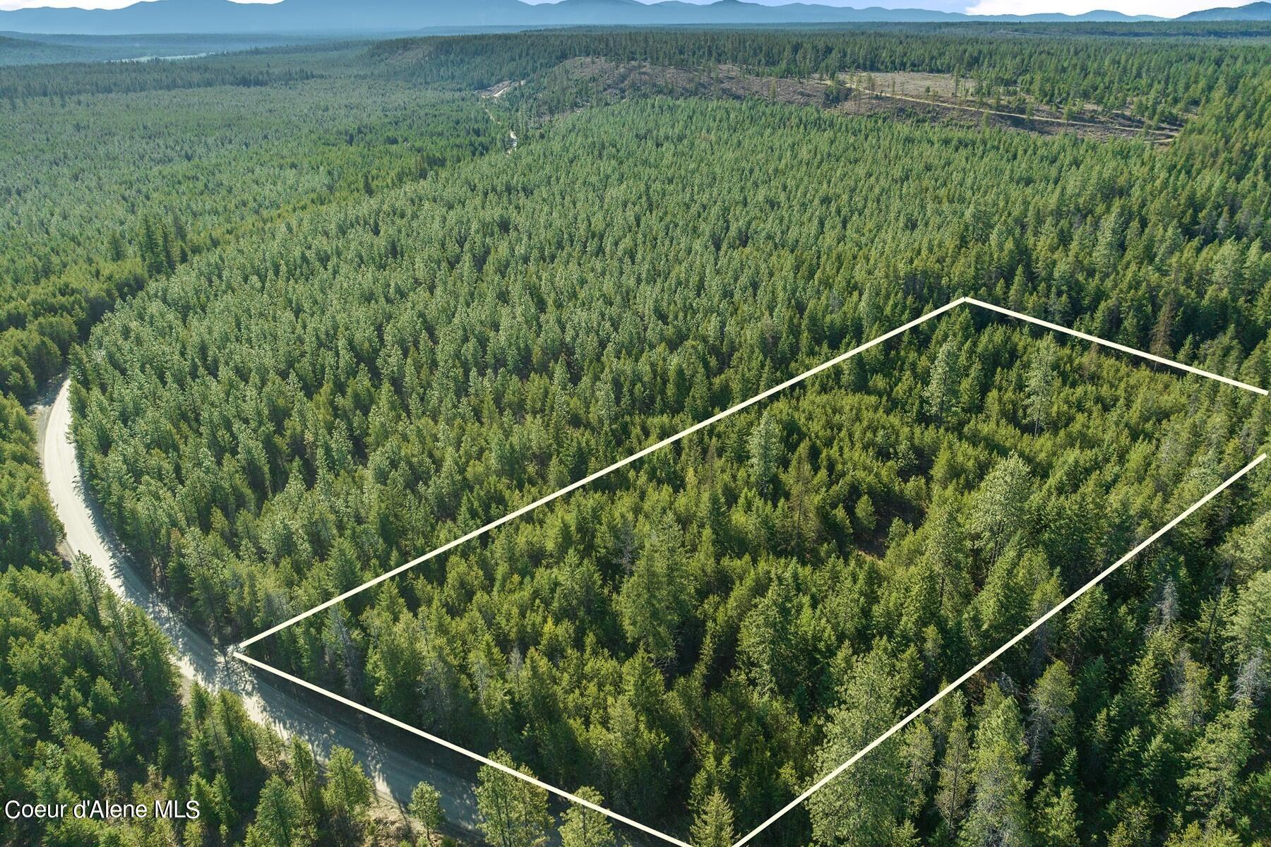 Aerial view of wooded vacant land outlined beside a rural road, with distant mountains.