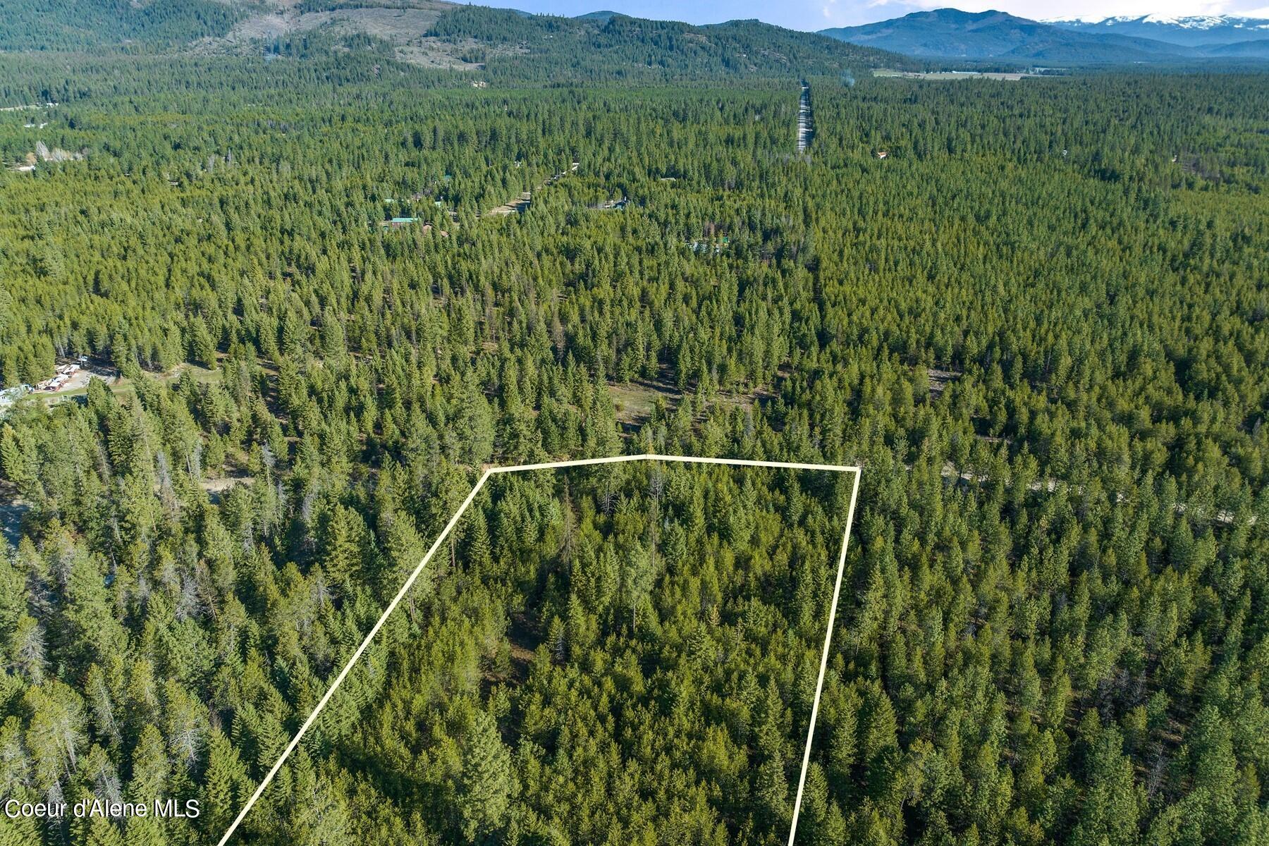 Aerial view of a forested parcel outlined in white, with distant mountains beyond.