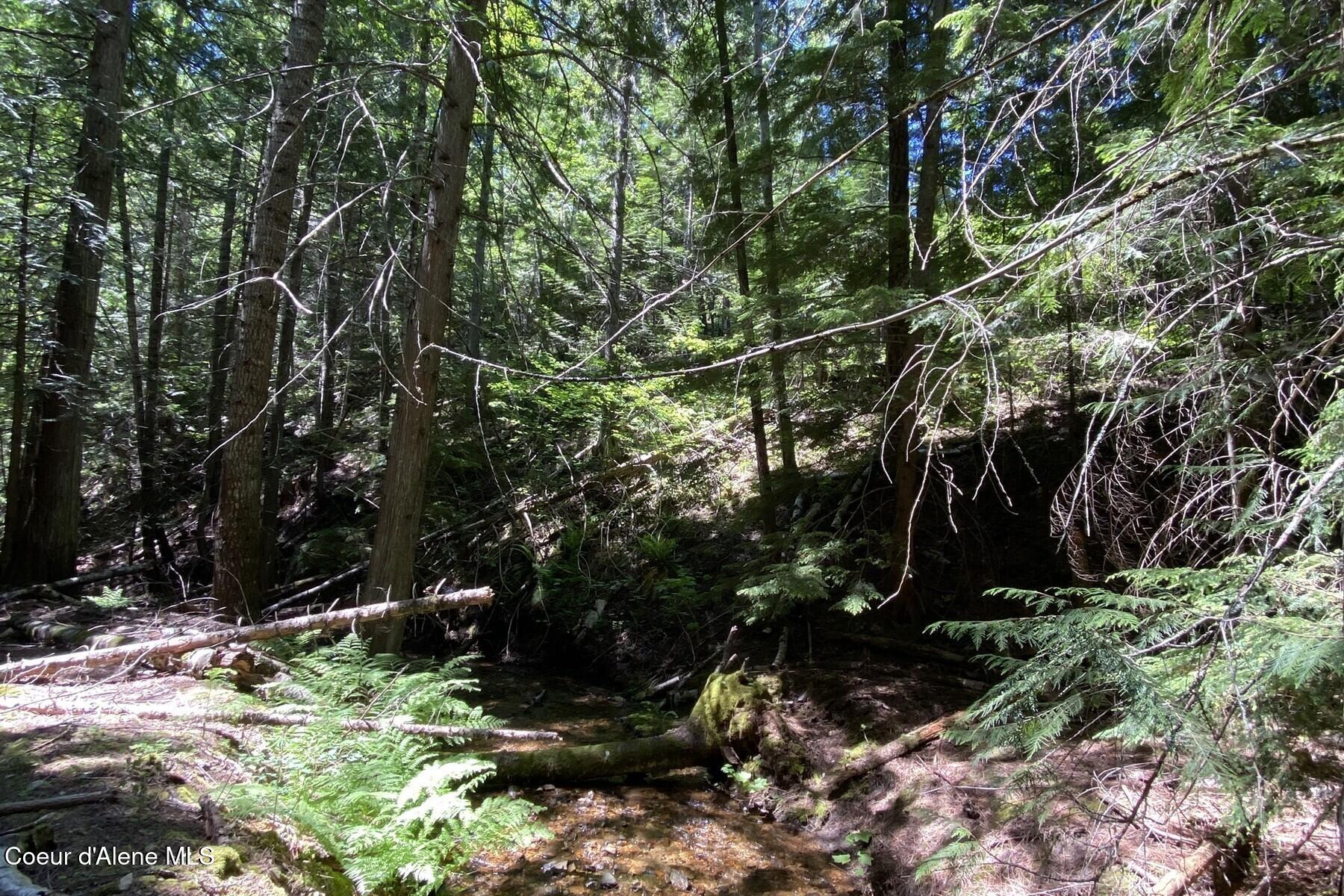 NNA 60 Acres Tahoe Drive