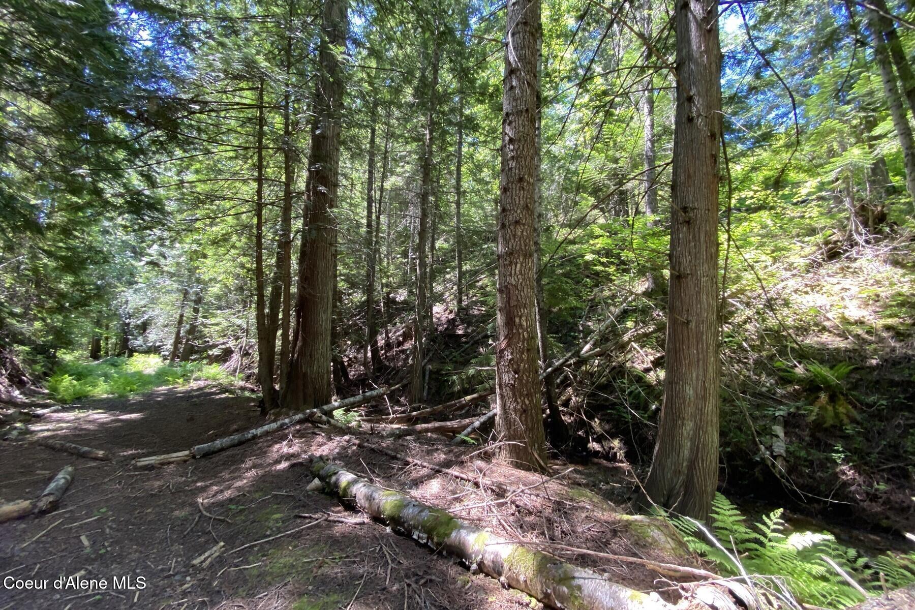 NNA 60 Acres Tahoe Drive