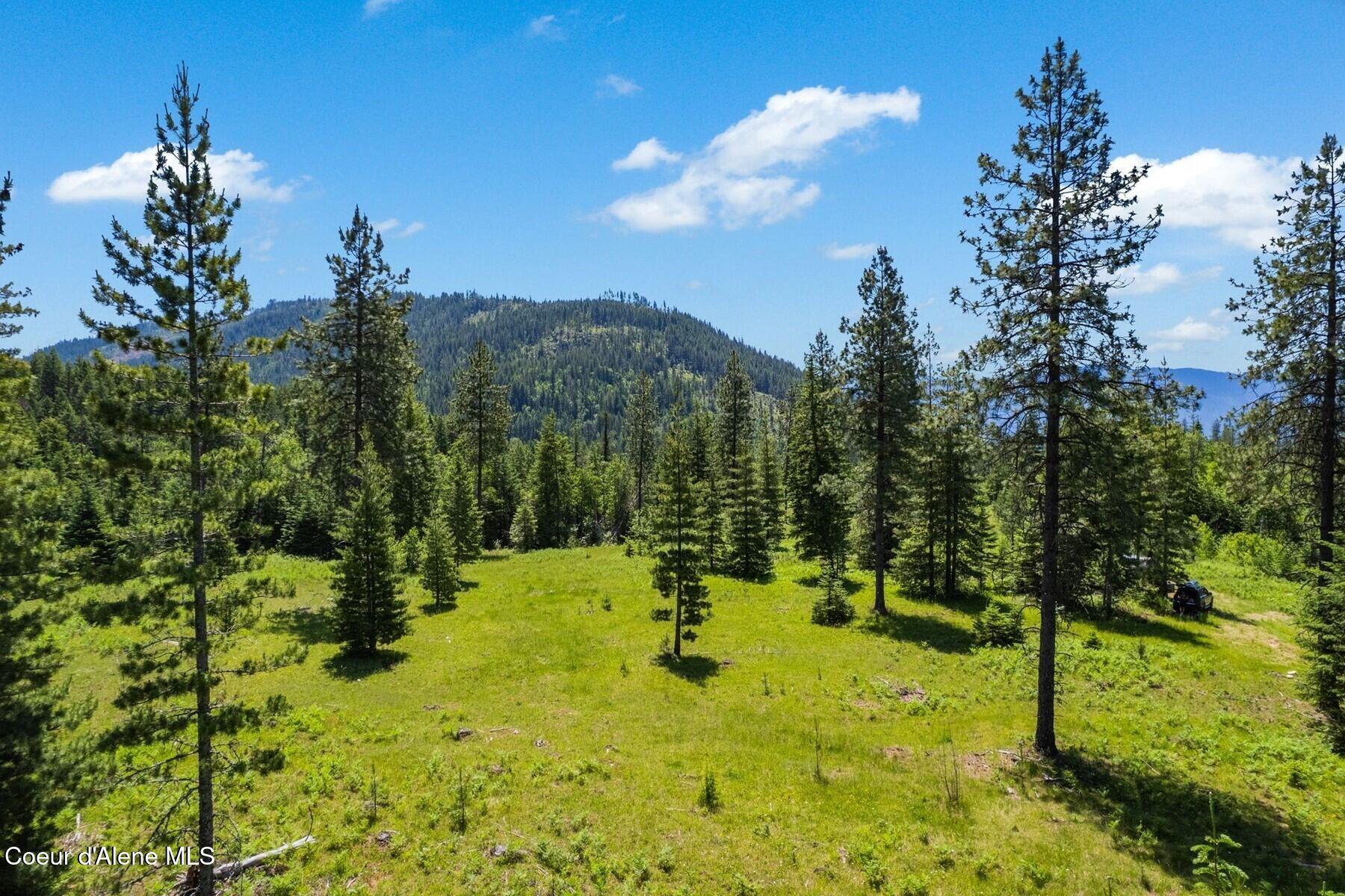 NNA 60 Acres Tahoe Drive
