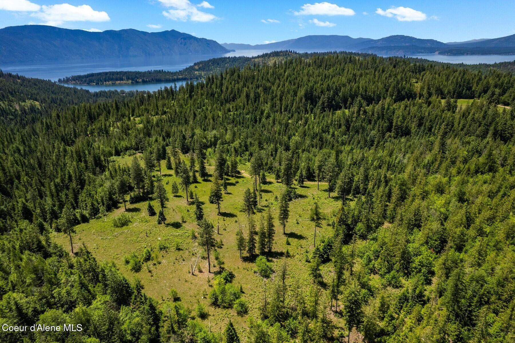 NNA 60 Acres Tahoe Drive