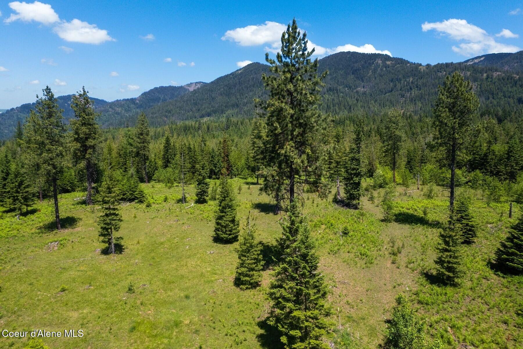 NNA 60 Acres Tahoe Drive
