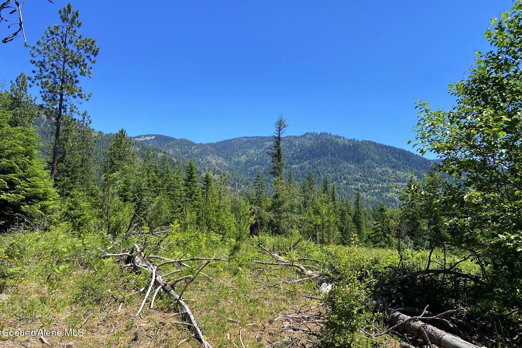 NNA 60 Acres Tahoe Drive