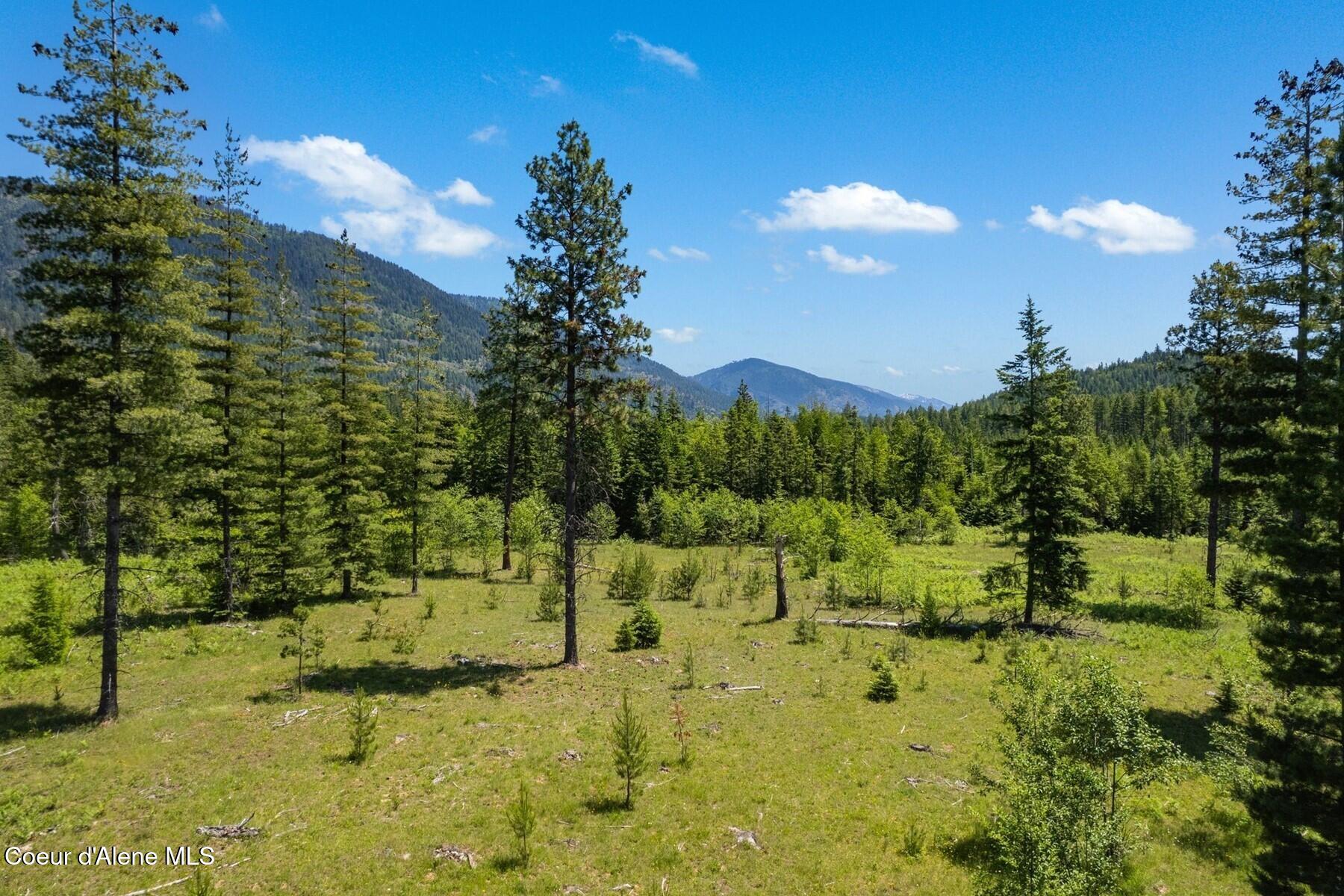 NNA 60 Acres Tahoe Drive