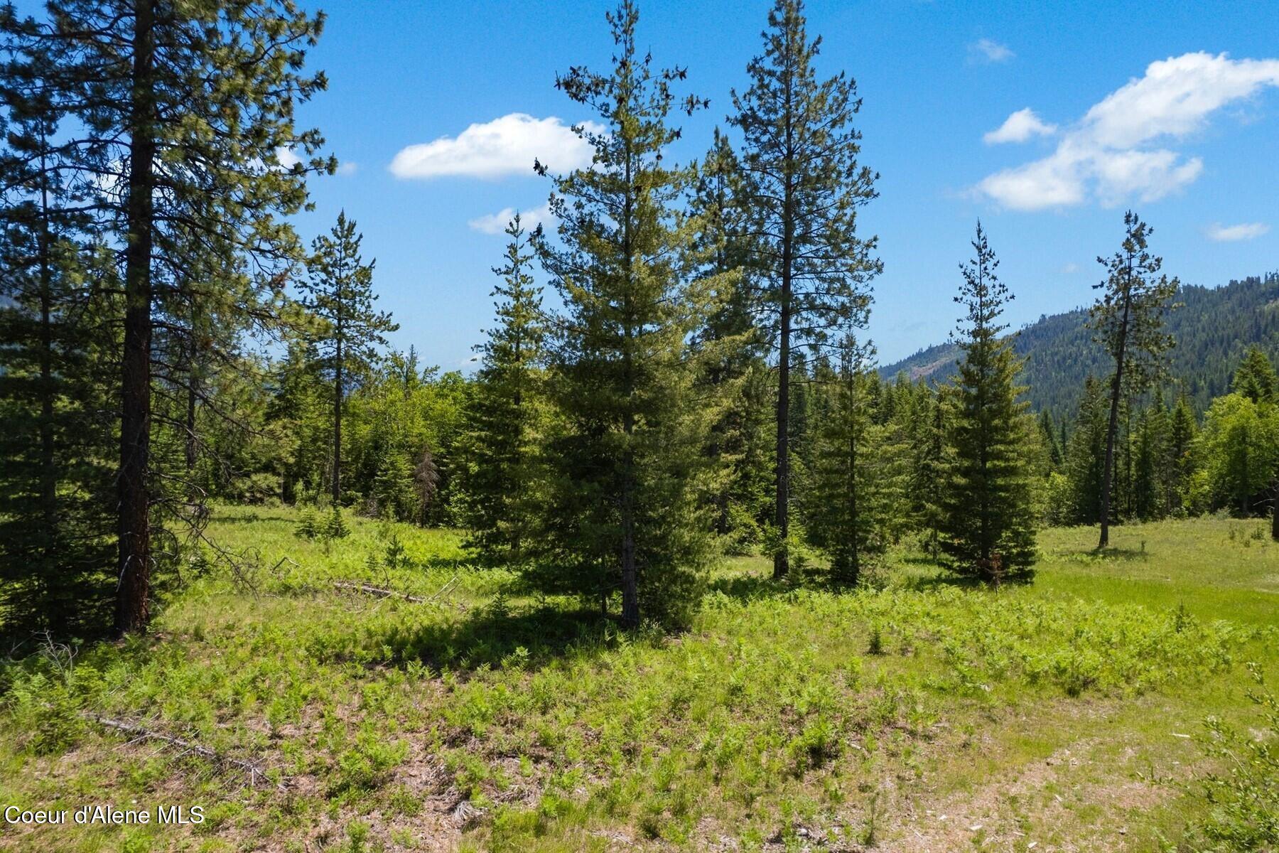NNA 60 Acres Tahoe Drive