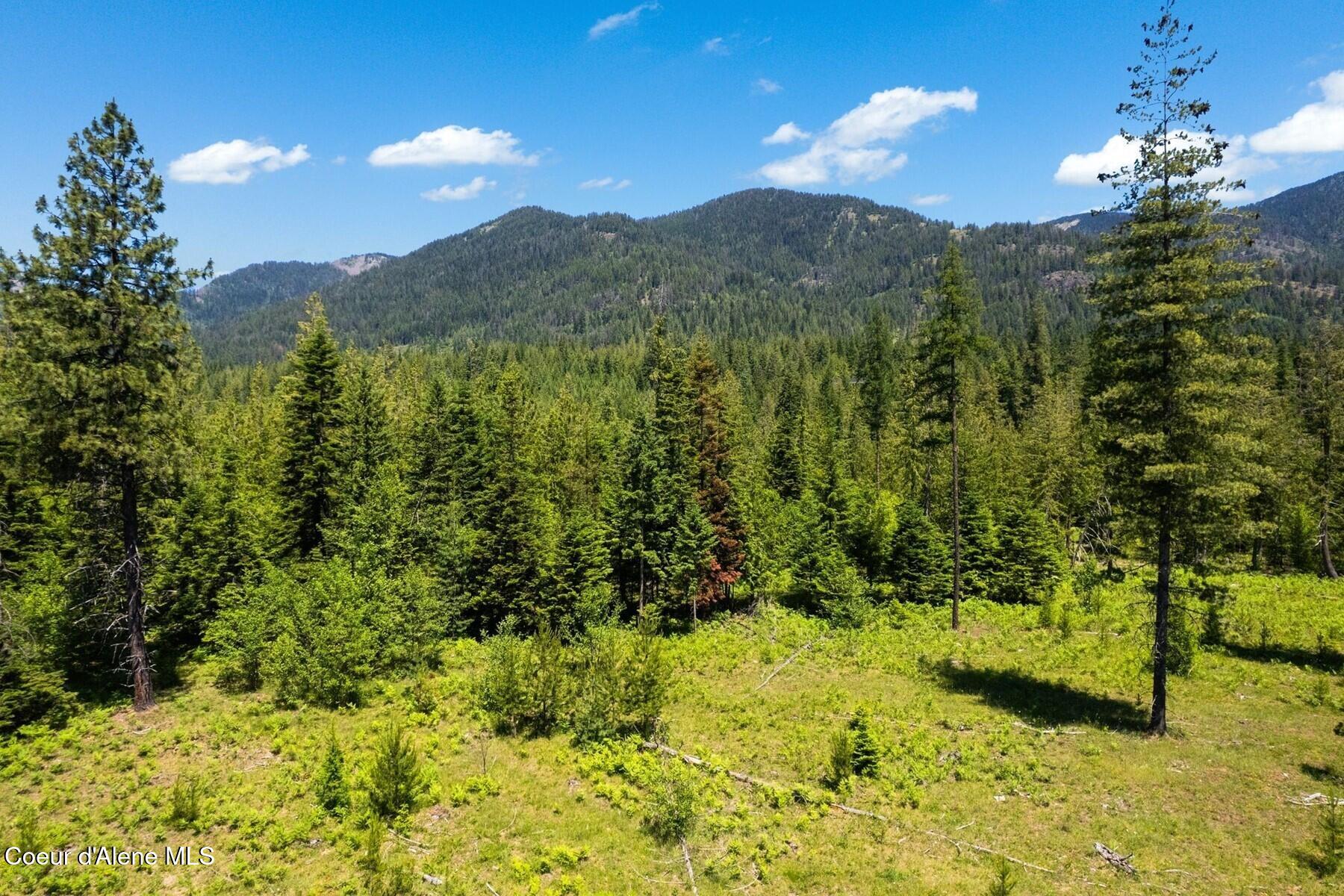 NNA 60 Acres Tahoe Drive