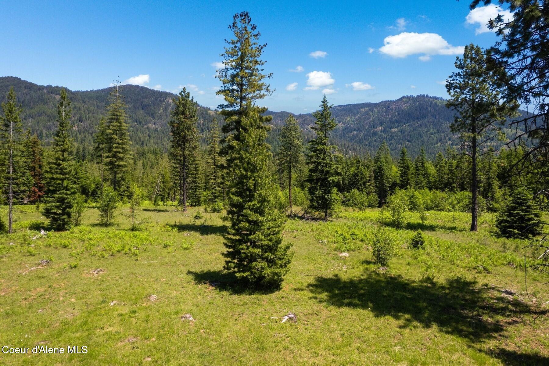 NNA 60 Acres Tahoe Drive