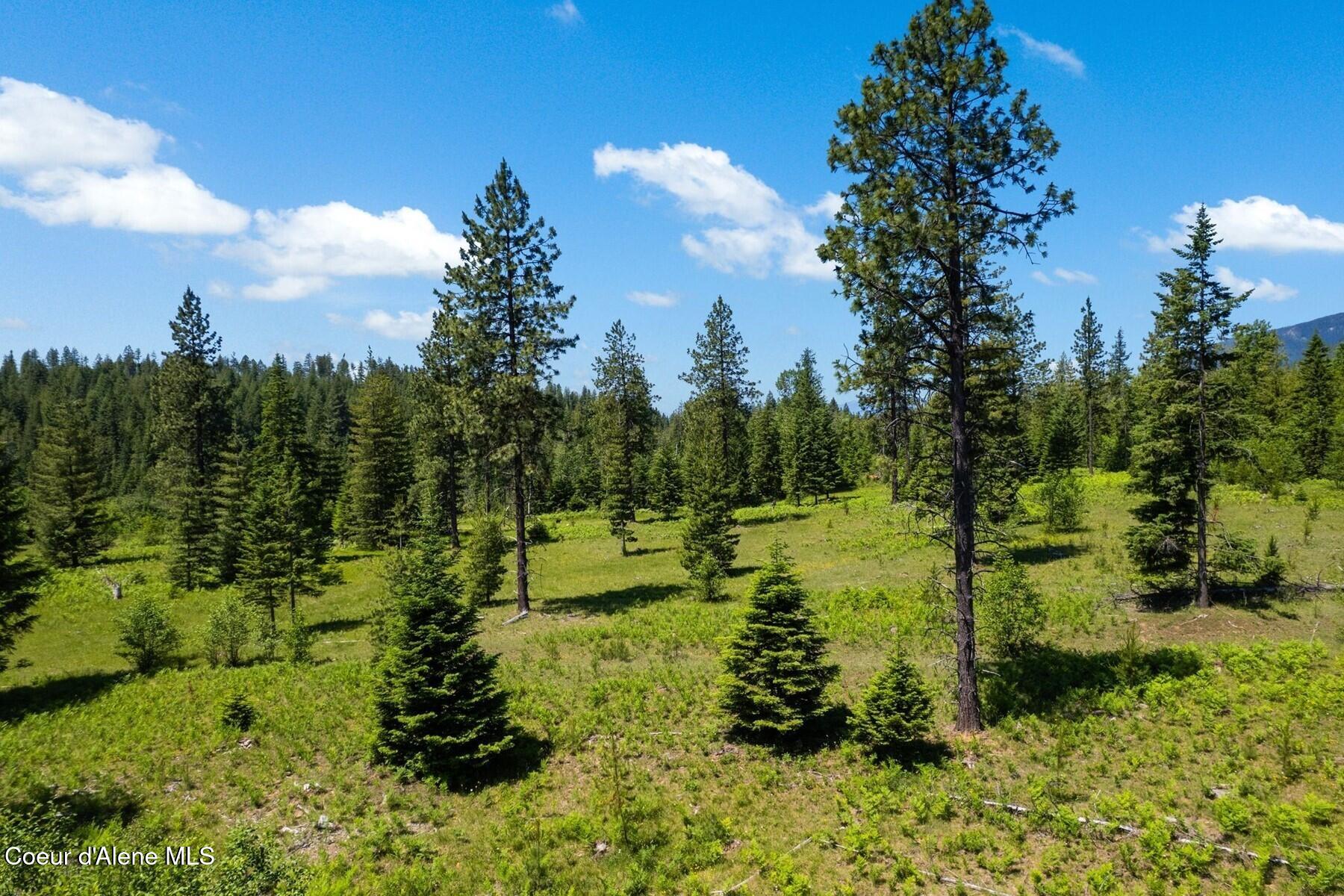NNA 60 Acres Tahoe Drive