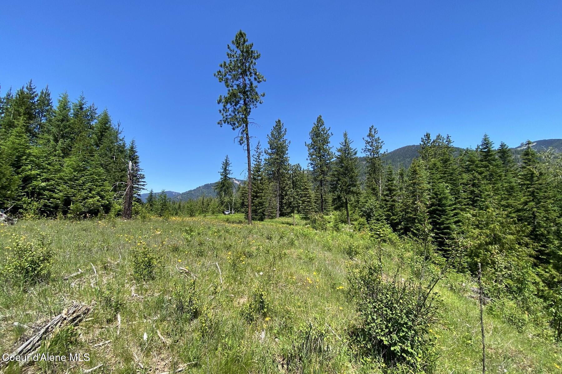 NNA 60 Acres Tahoe Drive