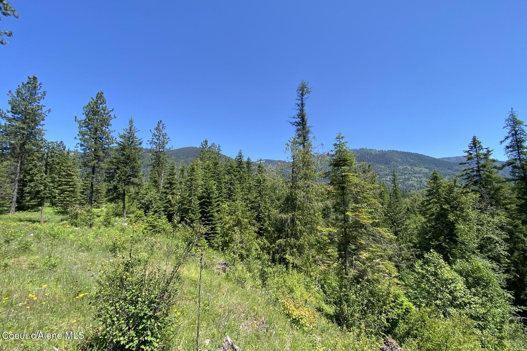 NNA 60 Acres Tahoe Drive