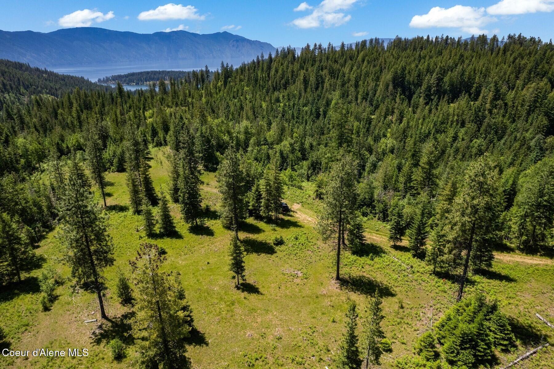 NNA 60 Acres Tahoe Drive