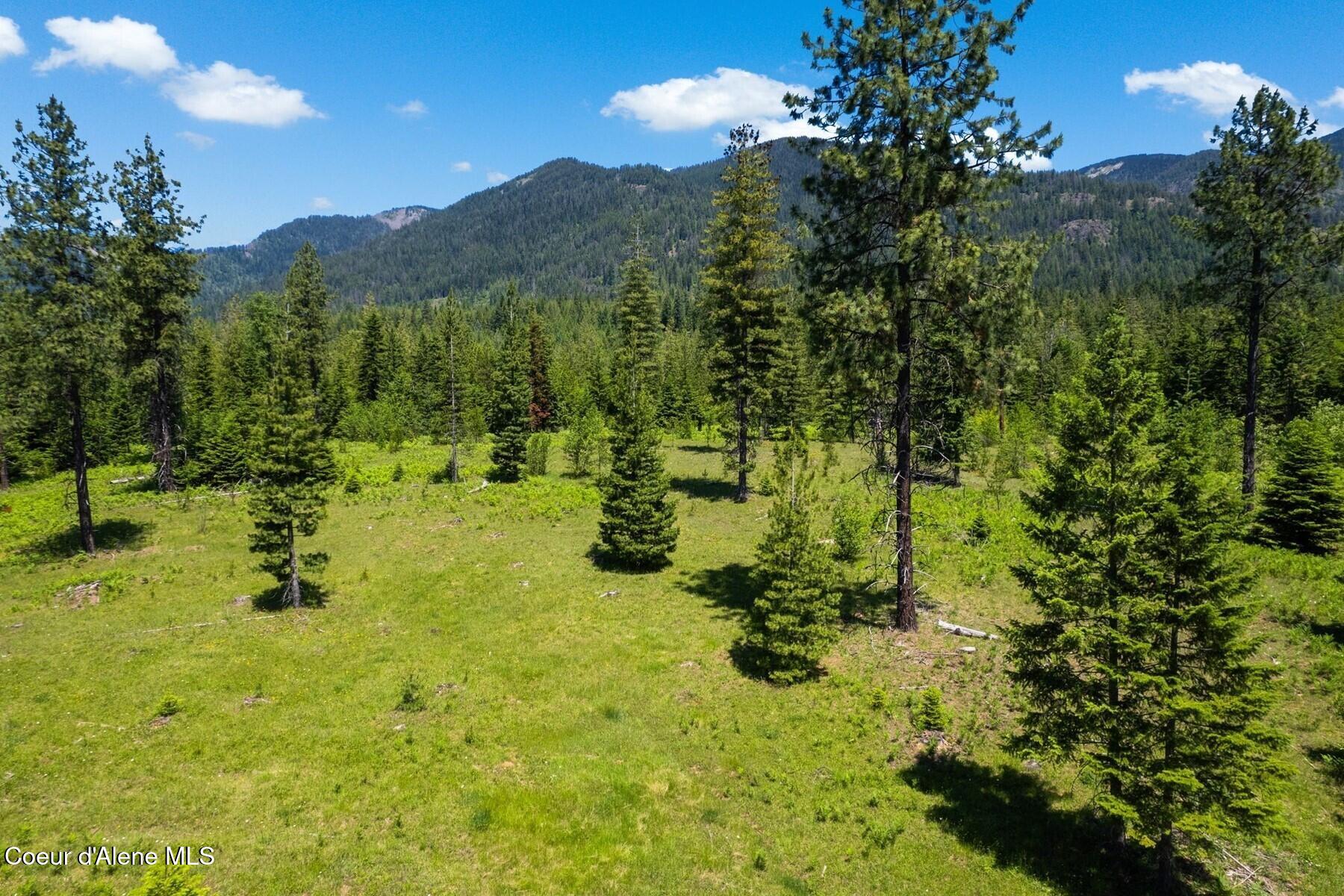 NNA 60 Acres Tahoe Drive