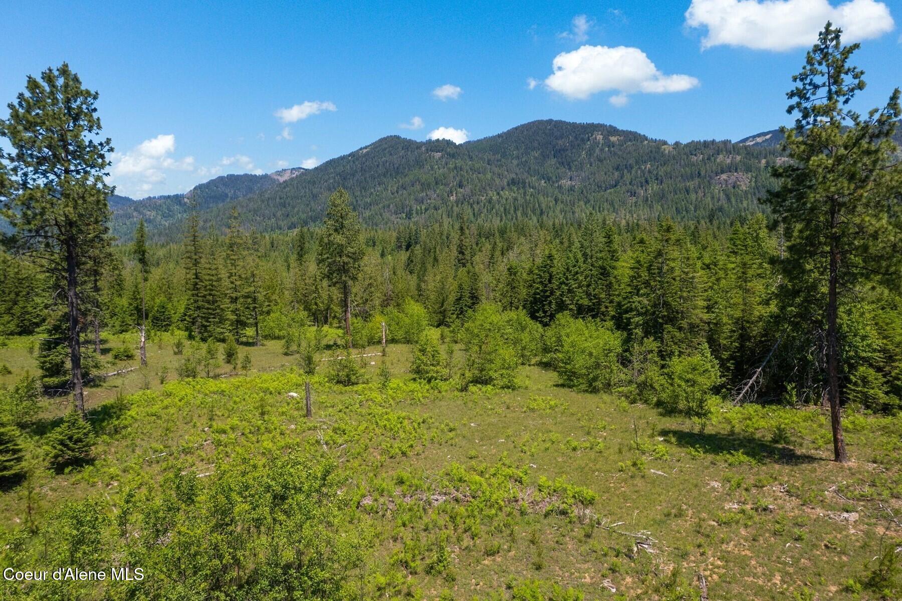 NNA 60 Acres Tahoe Drive