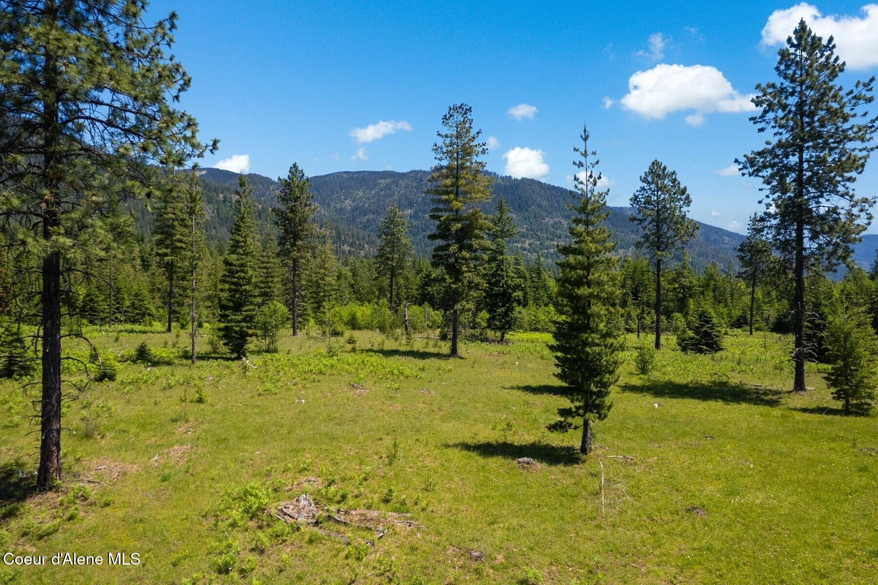 NNA 60 Acres Tahoe Drive