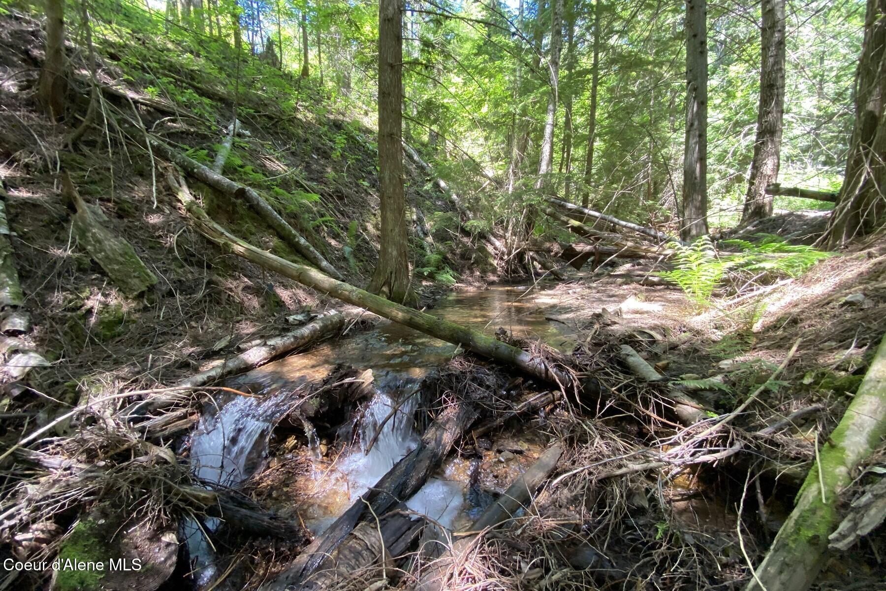 NNA 60 Acres Tahoe Drive