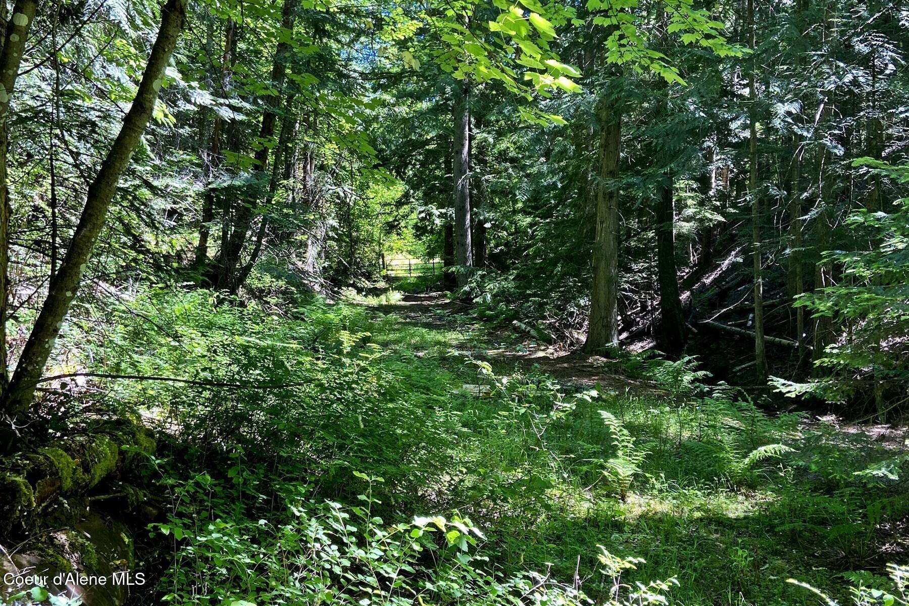 NNA 60 Acres Tahoe Drive