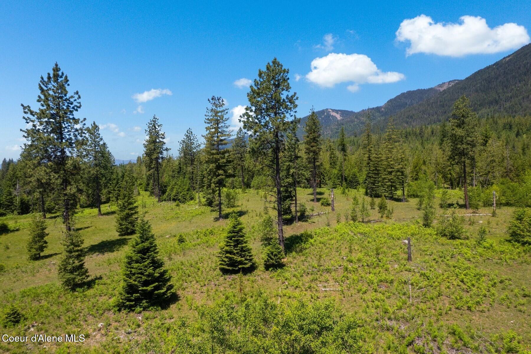 NNA 60 Acres Tahoe Drive