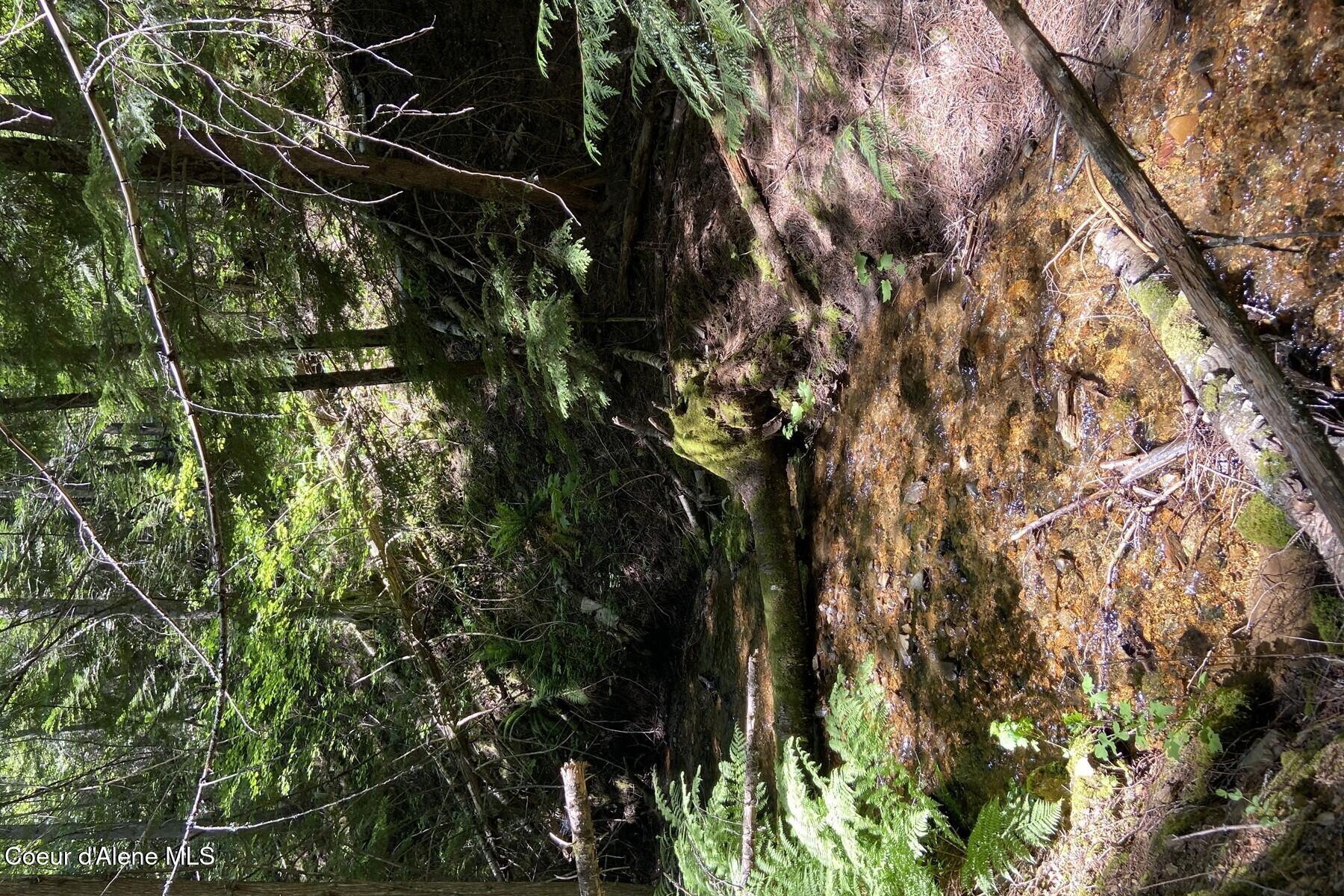 NNA 60 Acres Tahoe Drive
