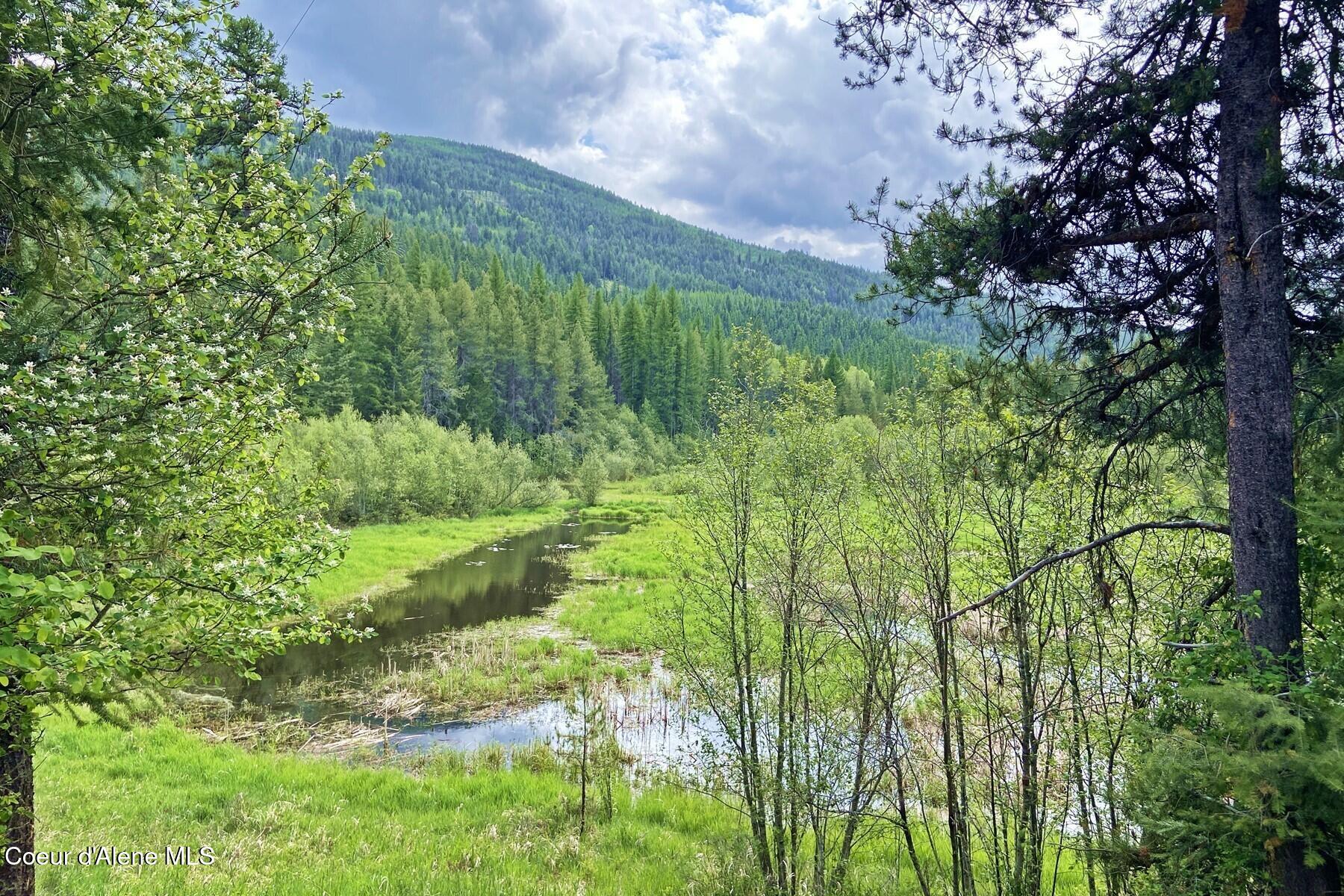 NNA 58 Acres Hwy 95 N