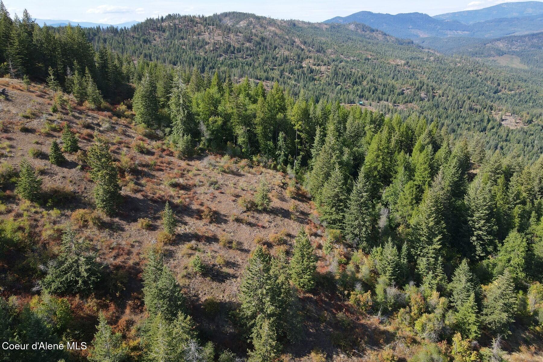 NNA Upper Manley Creek