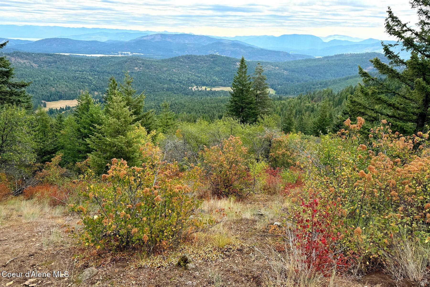 NNA Upper Manley Creek